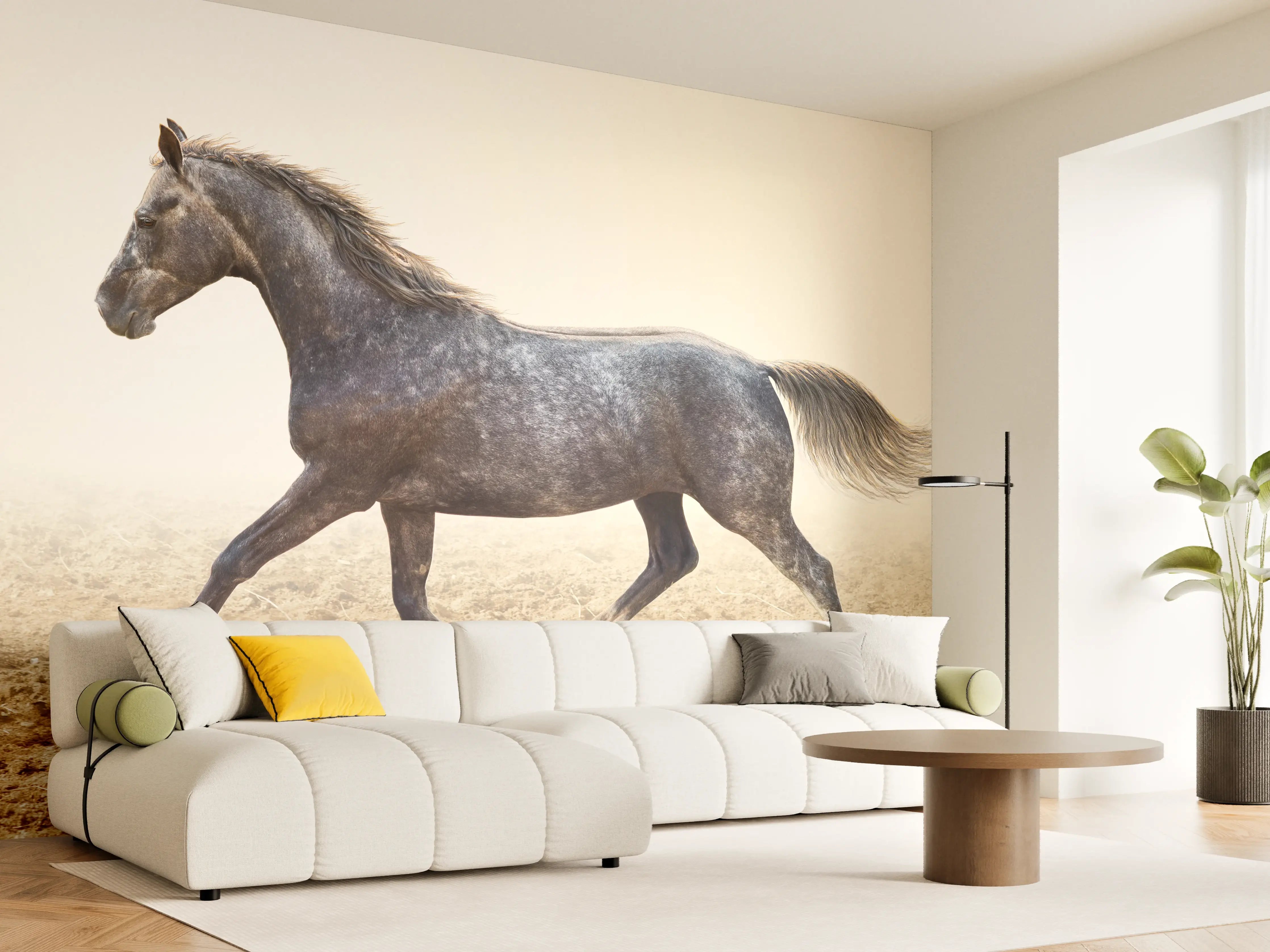 Wandverkleidung Wohnzimmer - Ein graues Pferd reitend auf einem Feld