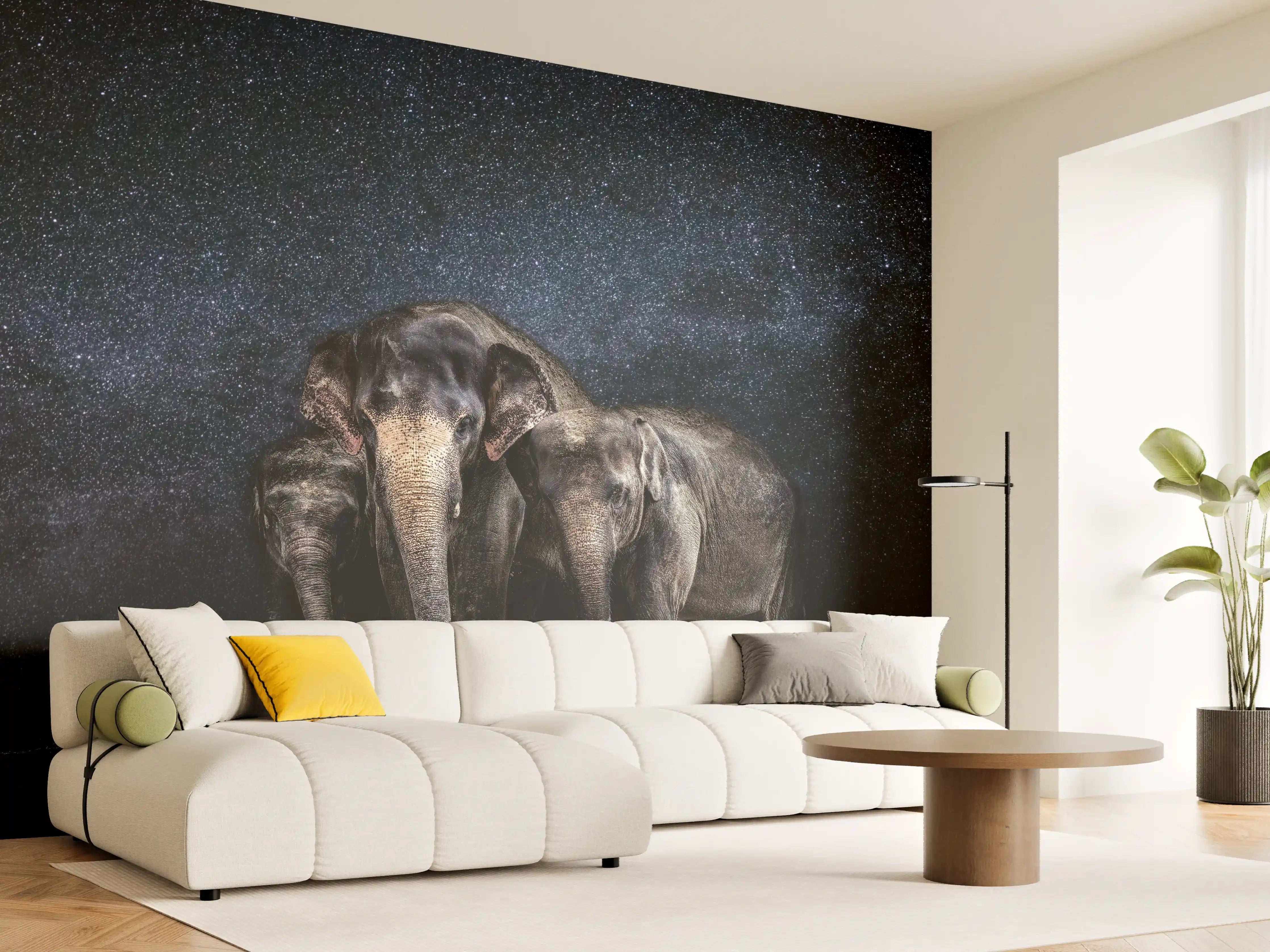 Wandverkleidung Wohnzimmer - Elefantenfamilie zwischen den Sternen