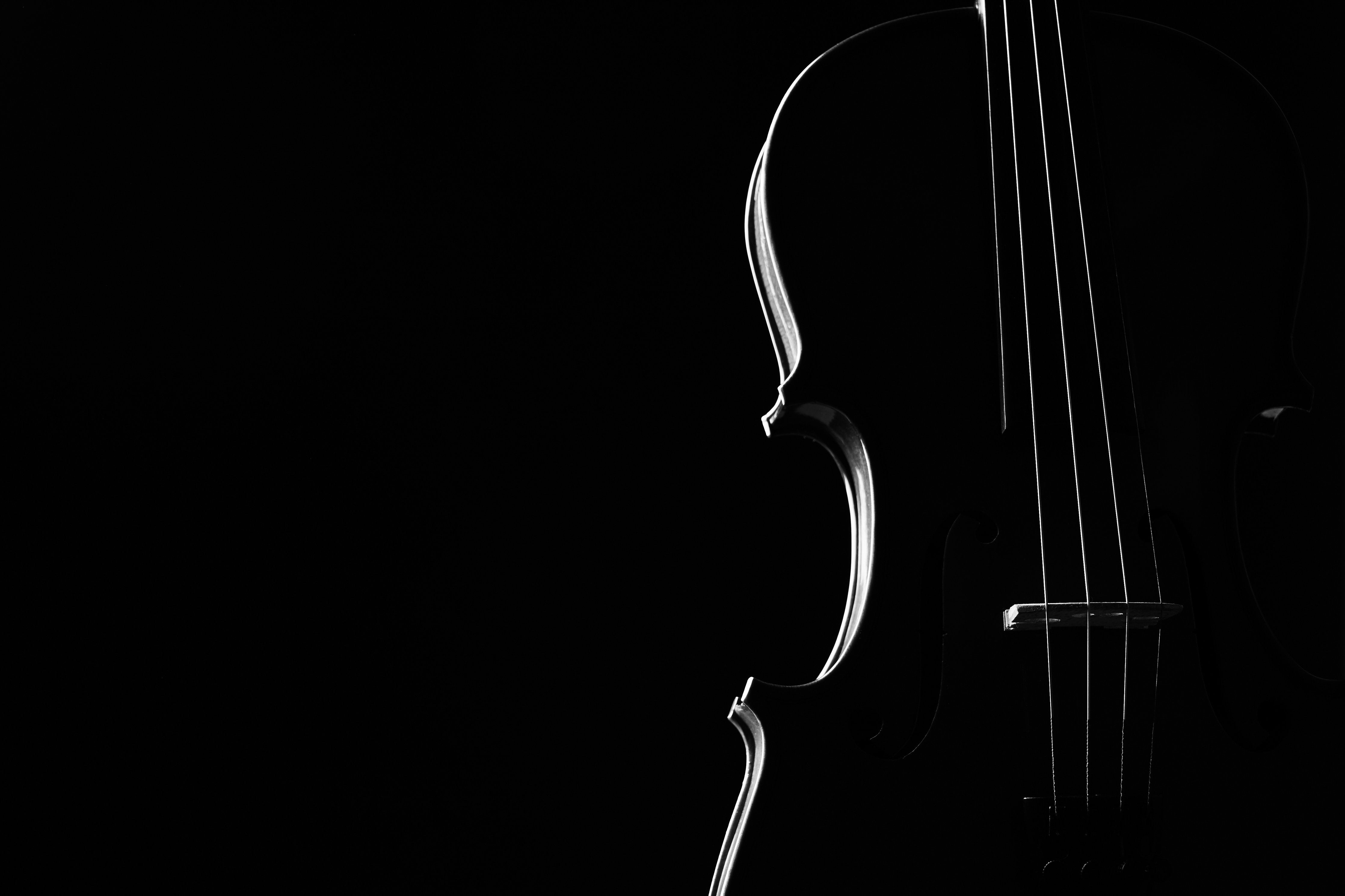 Wandverkleidung Wohnzimmer-Elegant schwarze Violine im Schatten