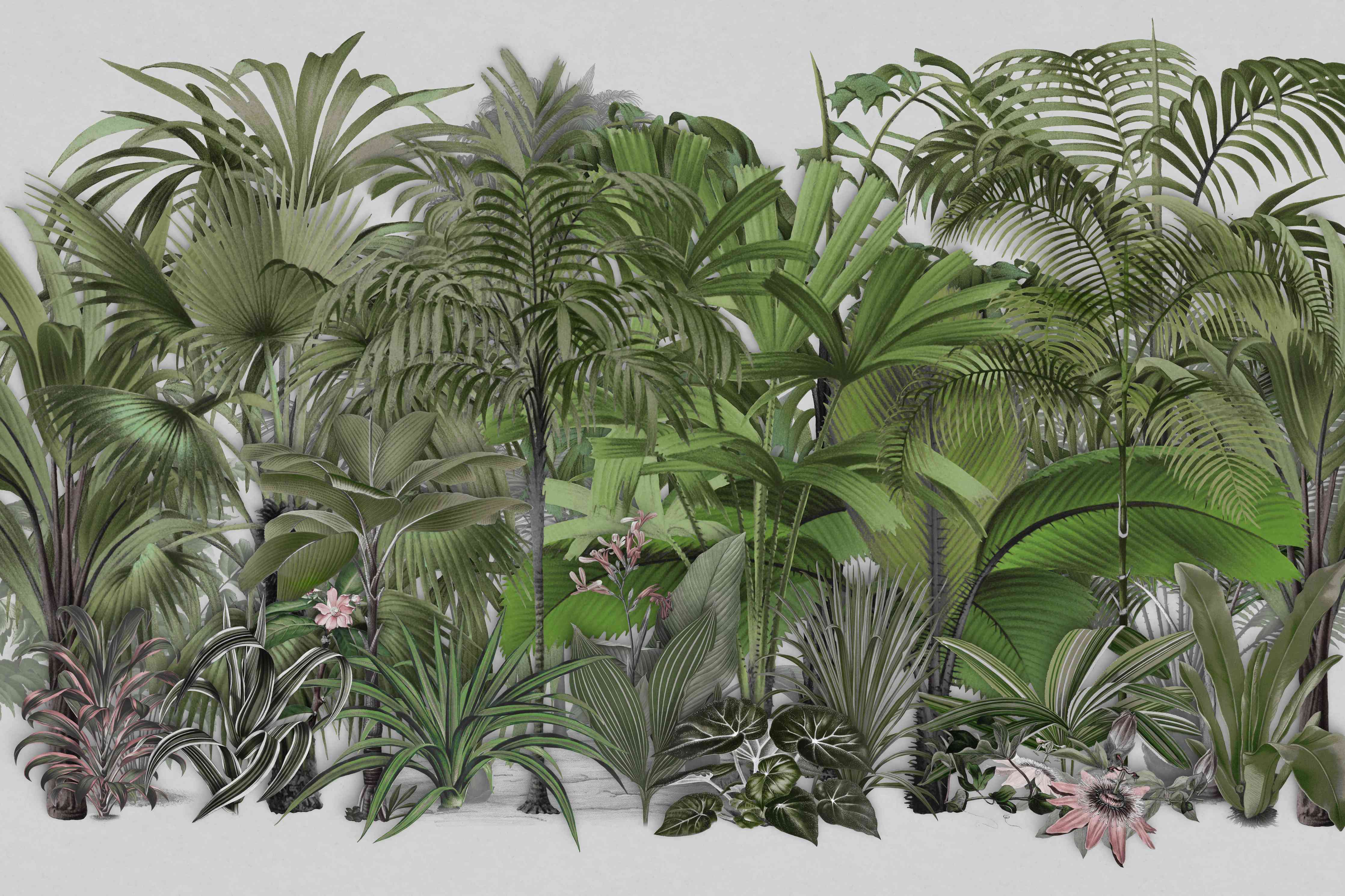 Wandverkleidung Wohnzimmer-Exotische Sträuche