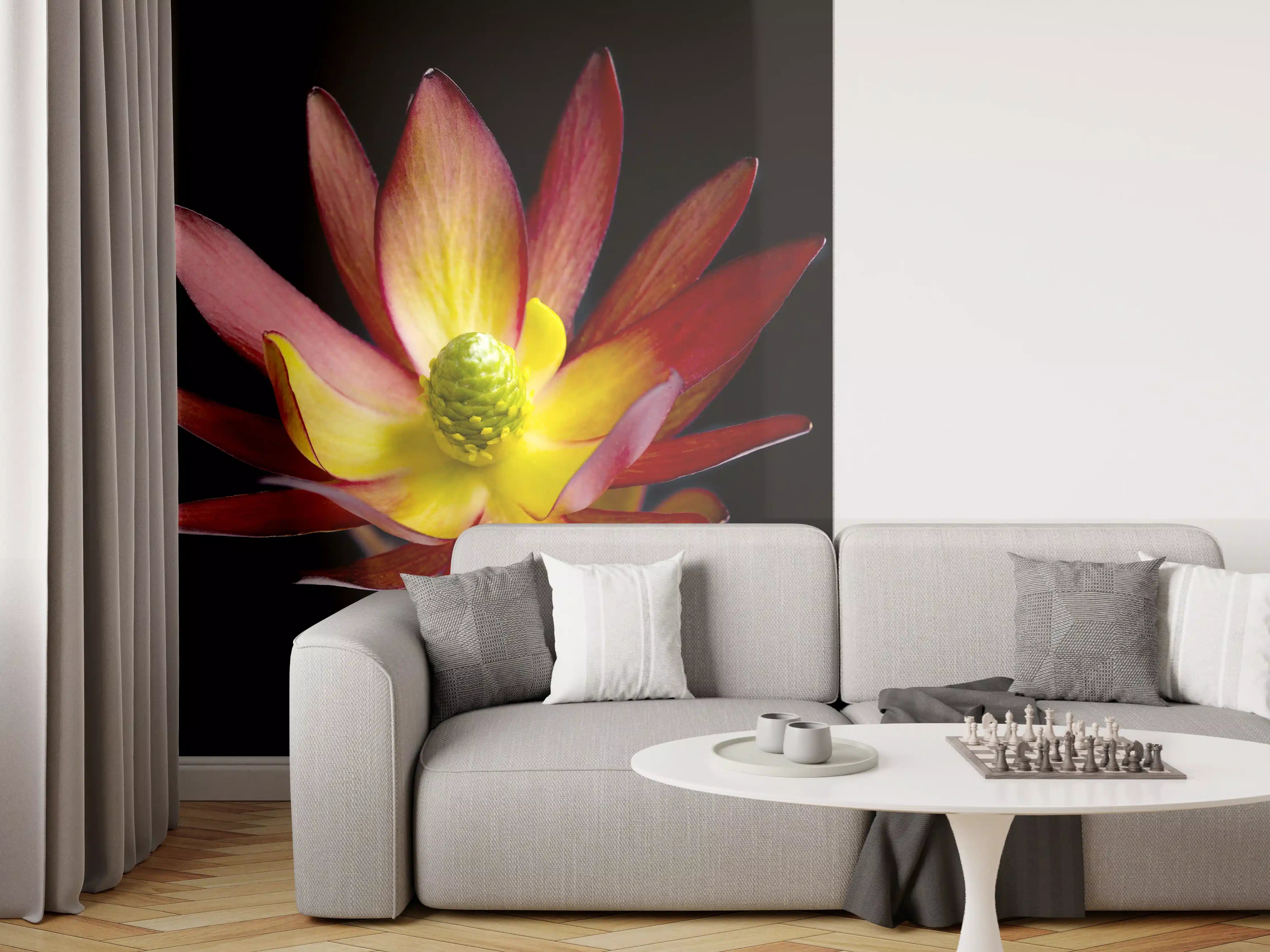 Wandverkleidung Wohnzimmer - Farbenfrohe Blüte auf Schwarz