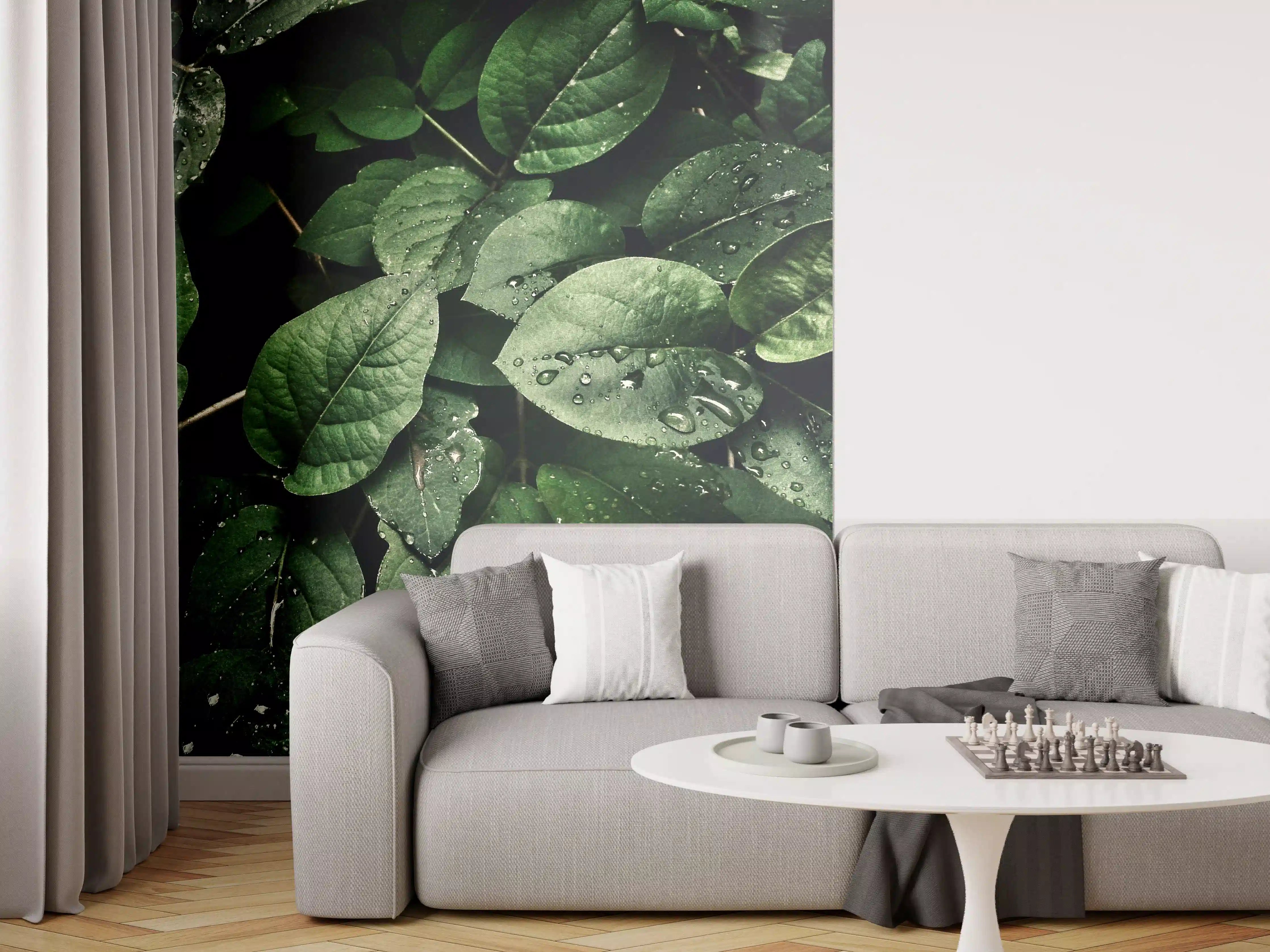 Wandverkleidung Wohnzimmer - Frische Grünblätter mit Wassertropfen