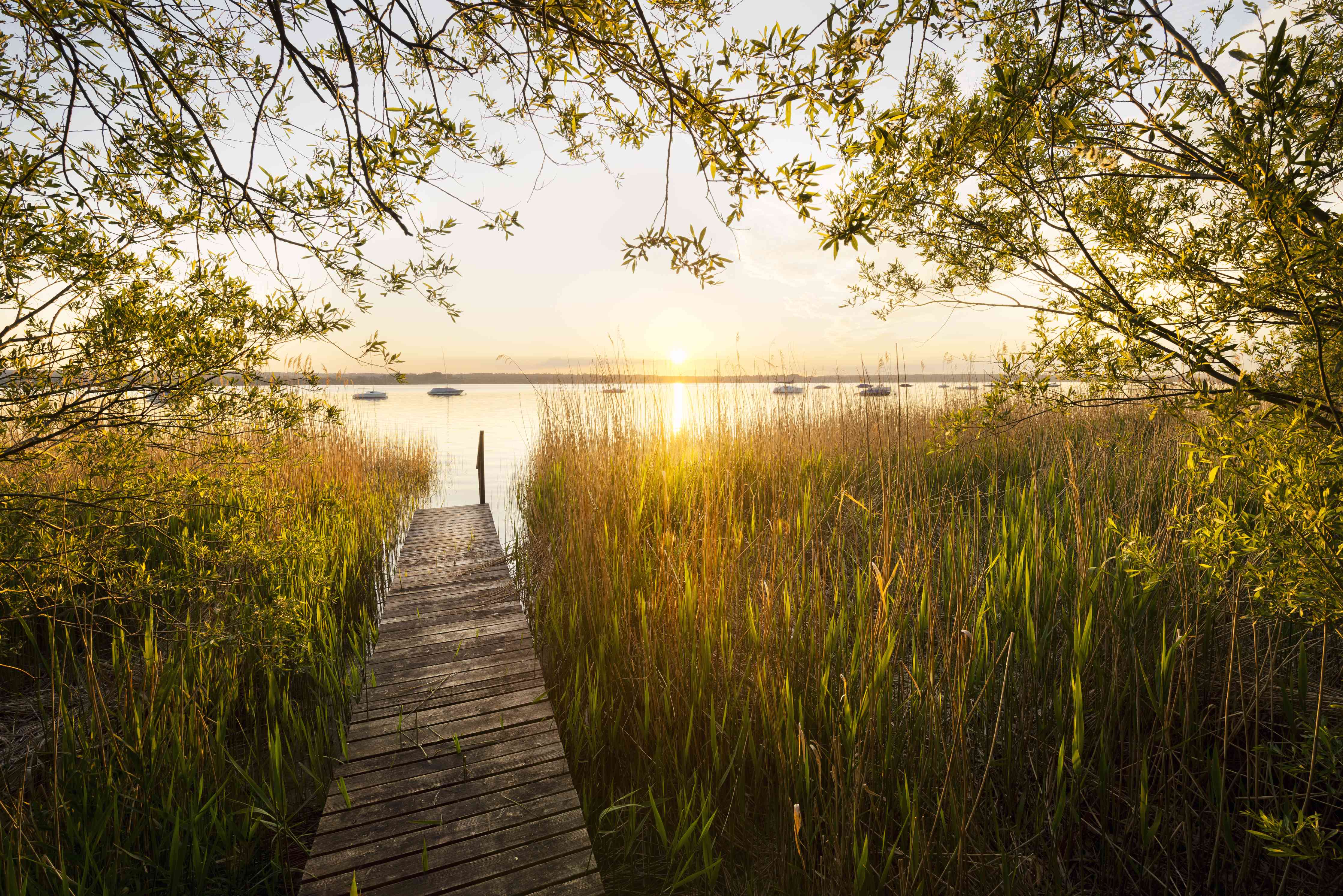 Wandverkleidung Wohnzimmer-Gelassene Flusslandschaft bei Sonnenuntergang