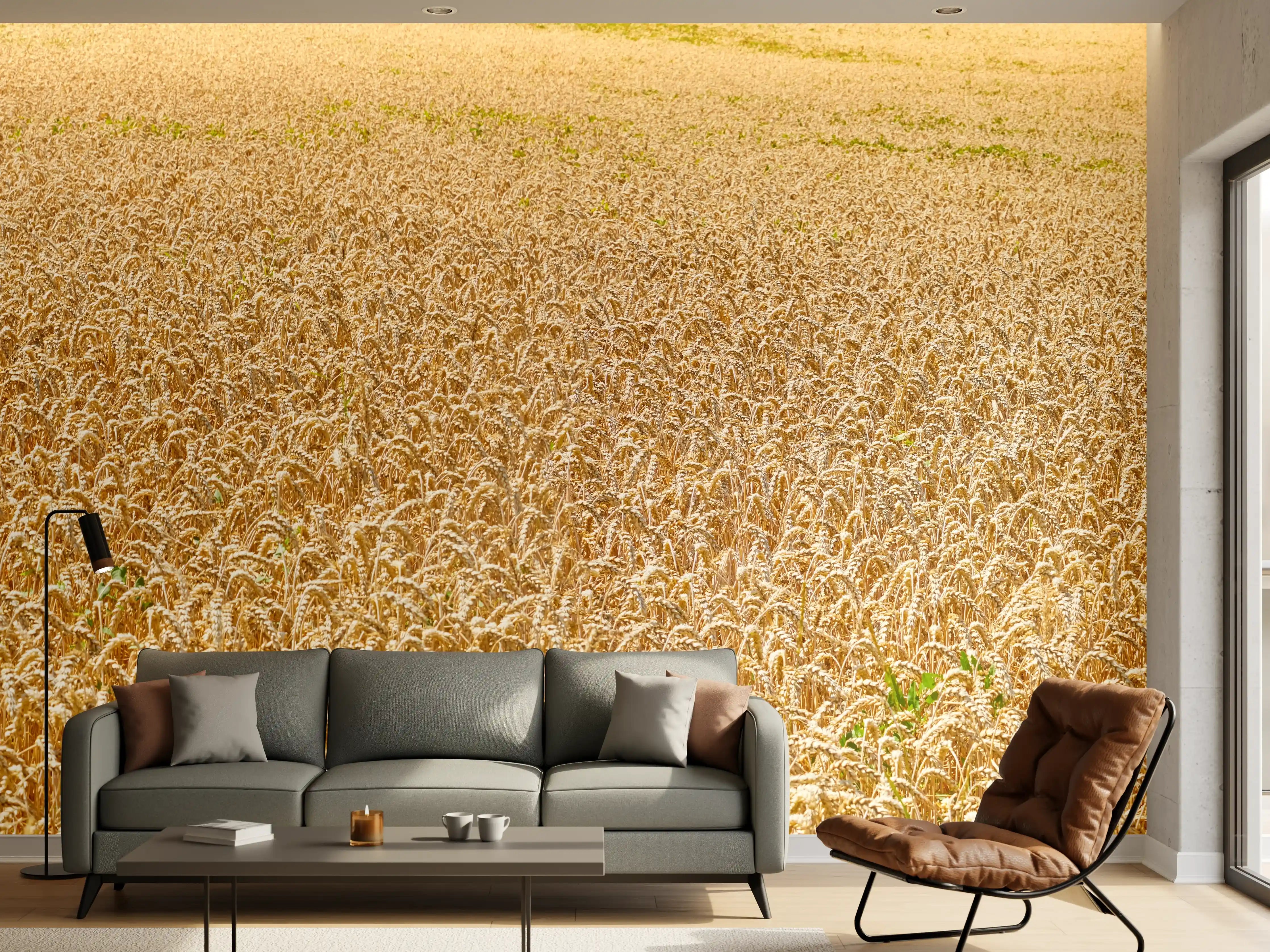 Wandverkleidung Wohnzimmer - Getreidefeld - Panoramabild