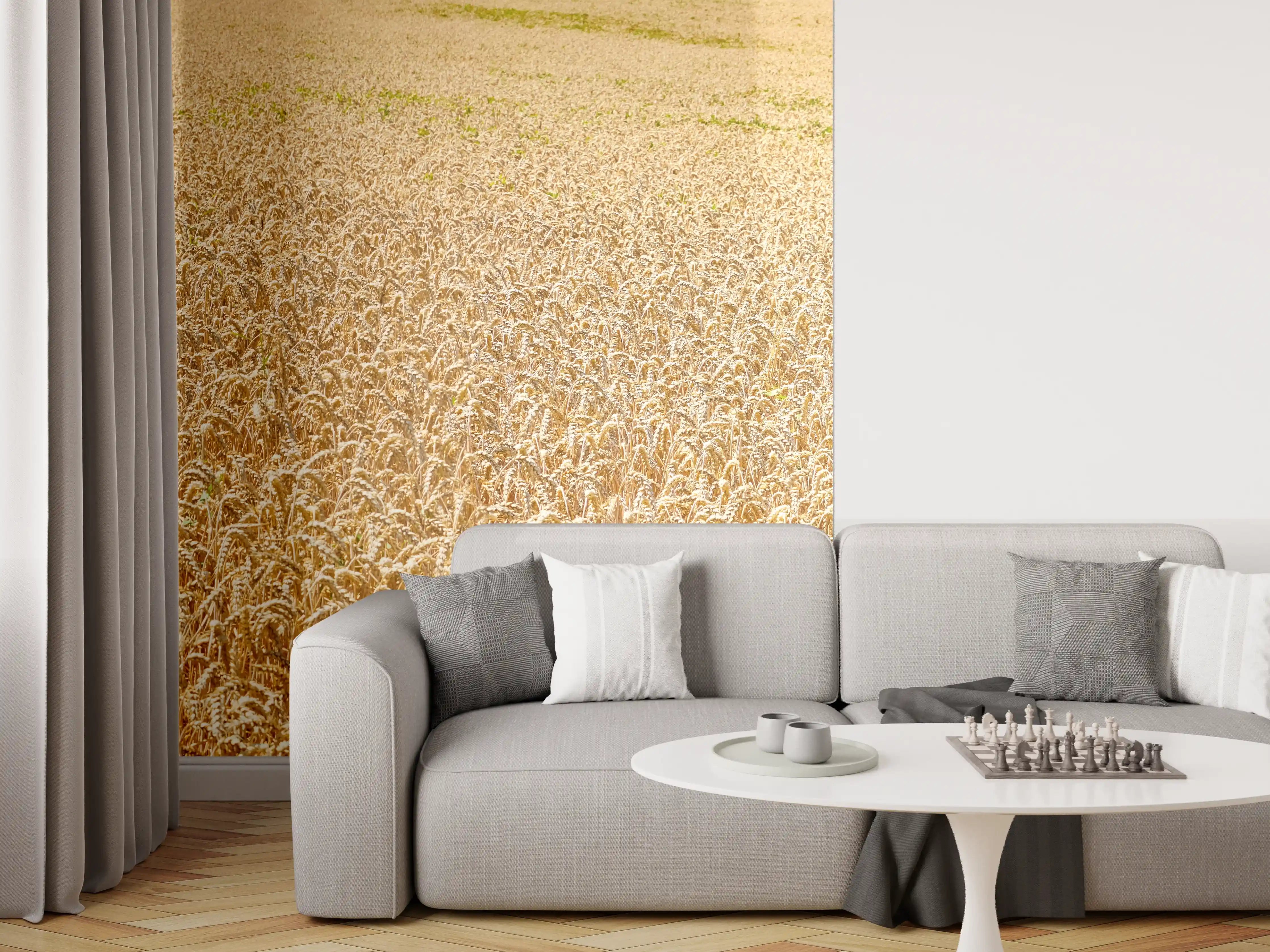 Wandverkleidung Wohnzimmer - Getreidefeld - Panoramabild