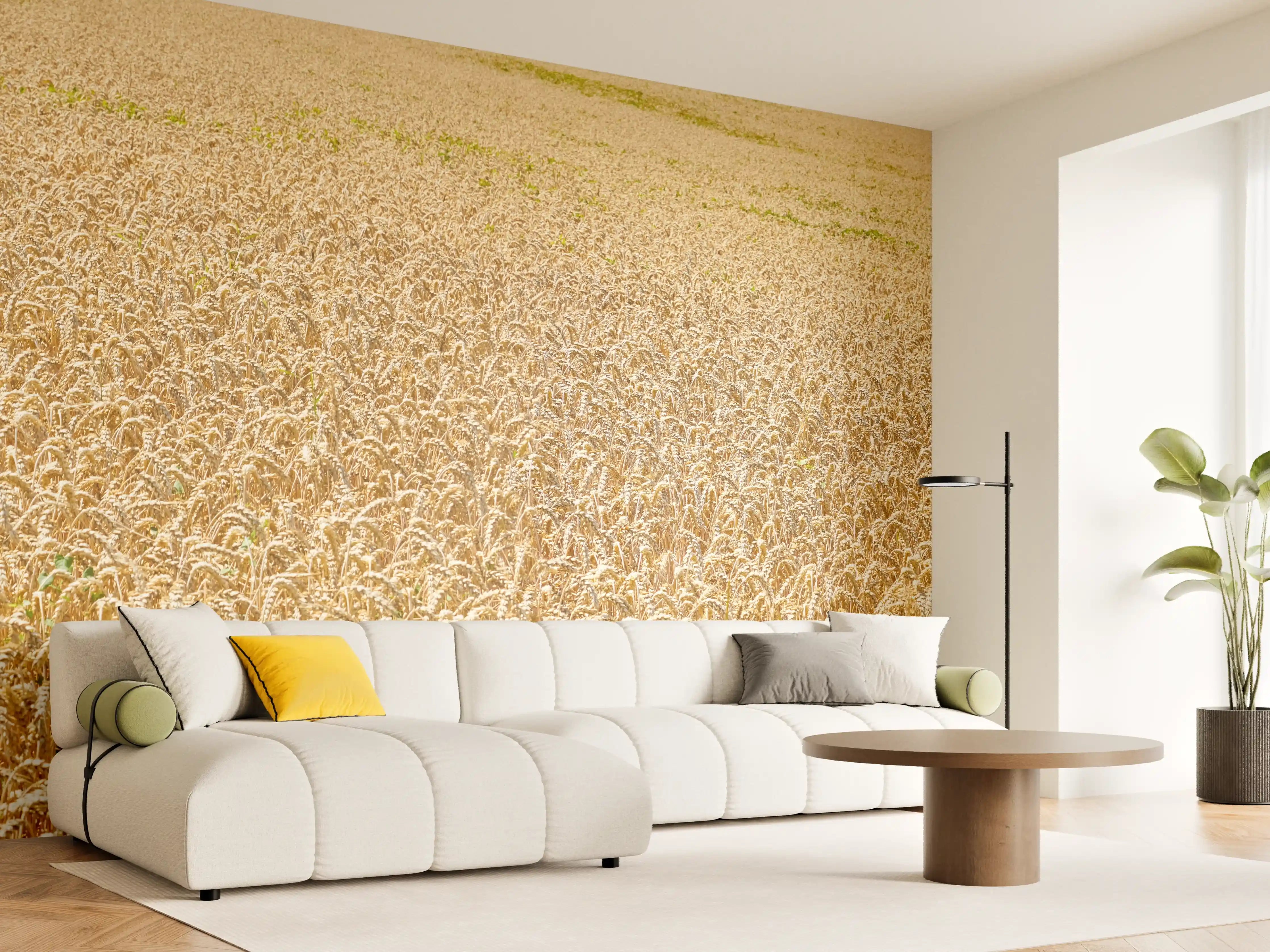 Wandverkleidung Wohnzimmer - Getreidefeld - Panoramabild