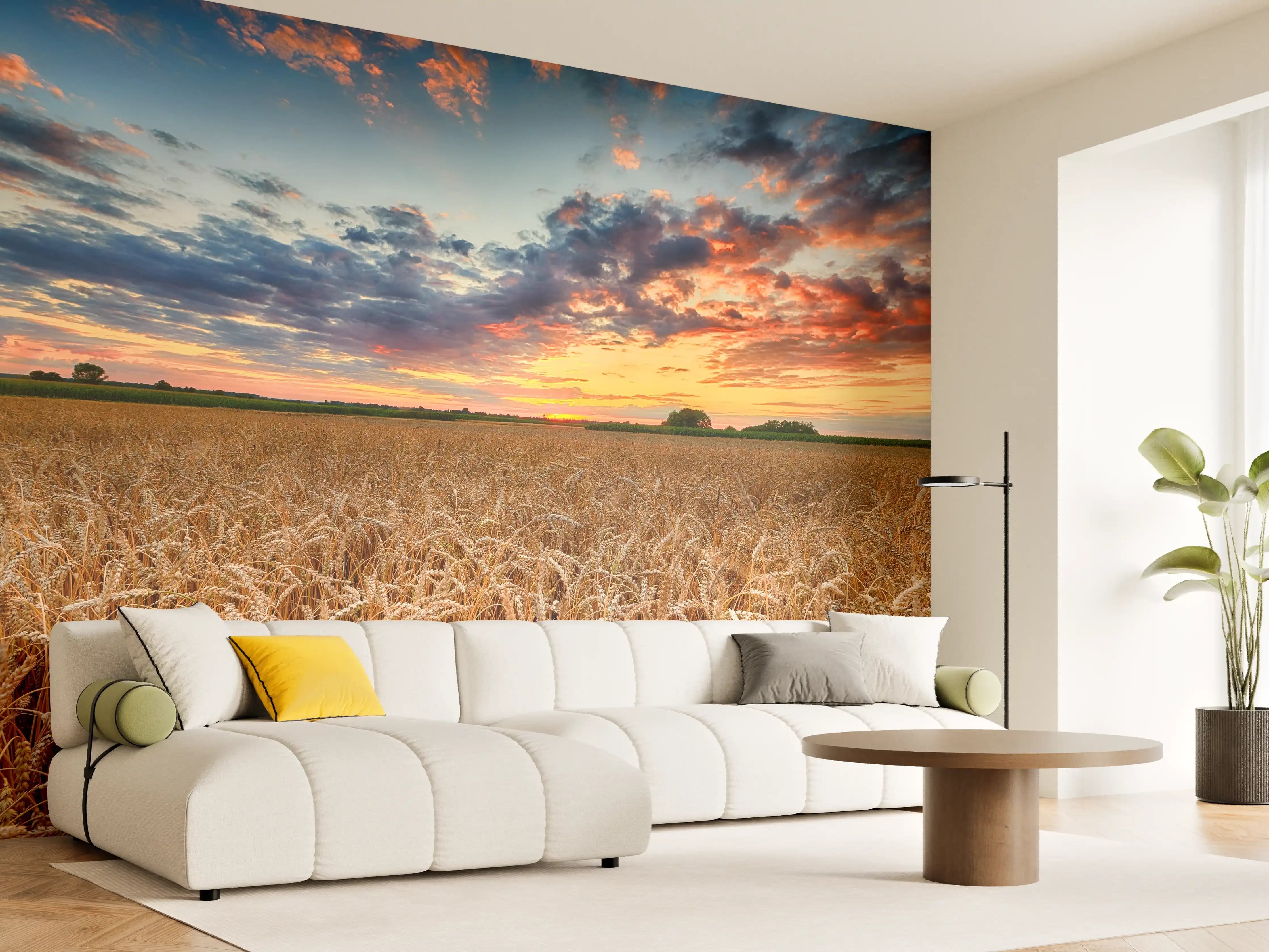 Wandverkleidung Wohnzimmer - Goldener Weizen bei Sonnenuntergang