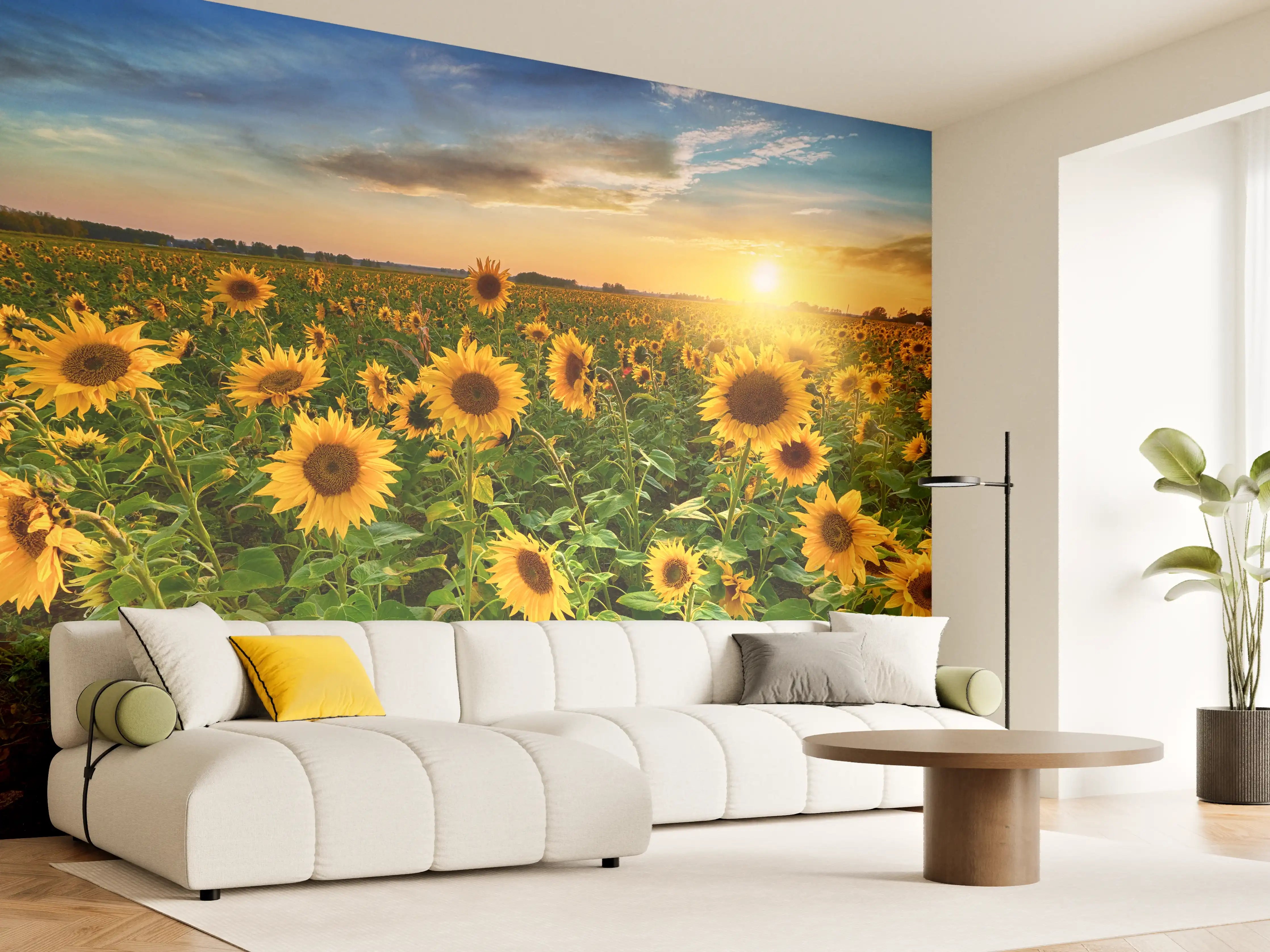 Wandverkleidung Wohnzimmer - Grauwe Sonnenblumen bei Dämmerung