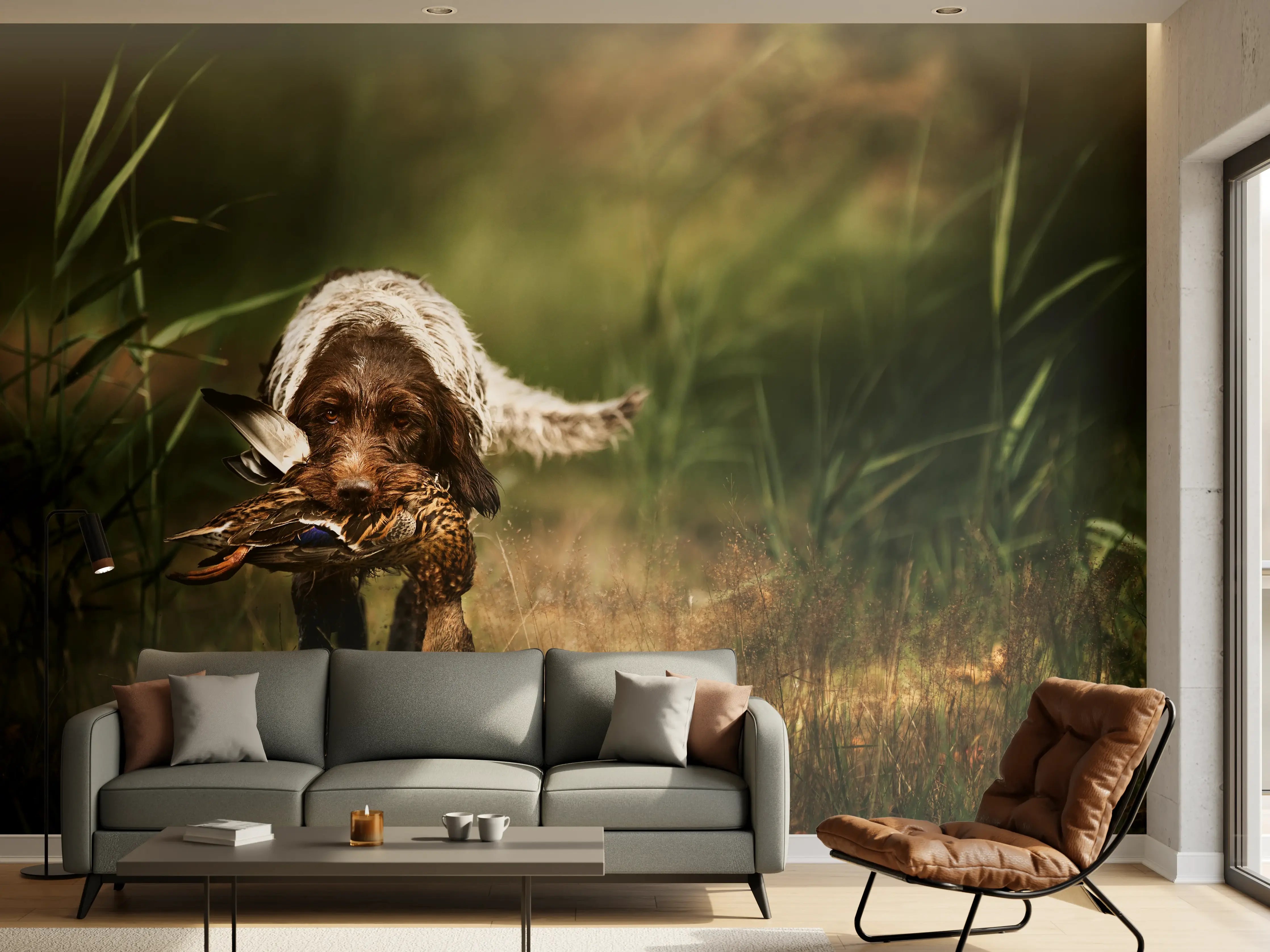 Wandverkleidung Wohnzimmer - Griffon Korthals beim Apportieren einer Ente