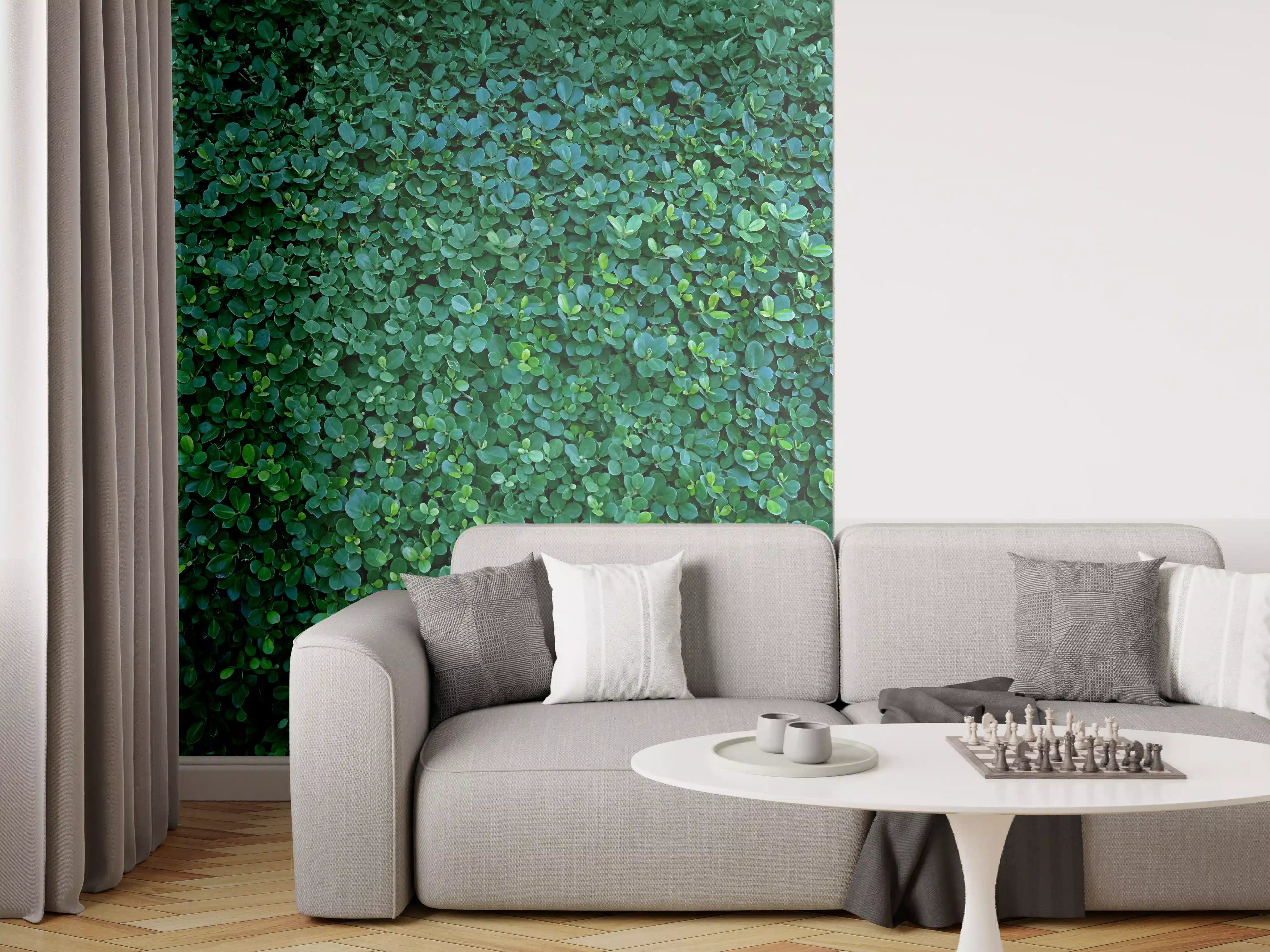 Wandverkleidung Wohnzimmer - Hände, die eine Pflanze gießen