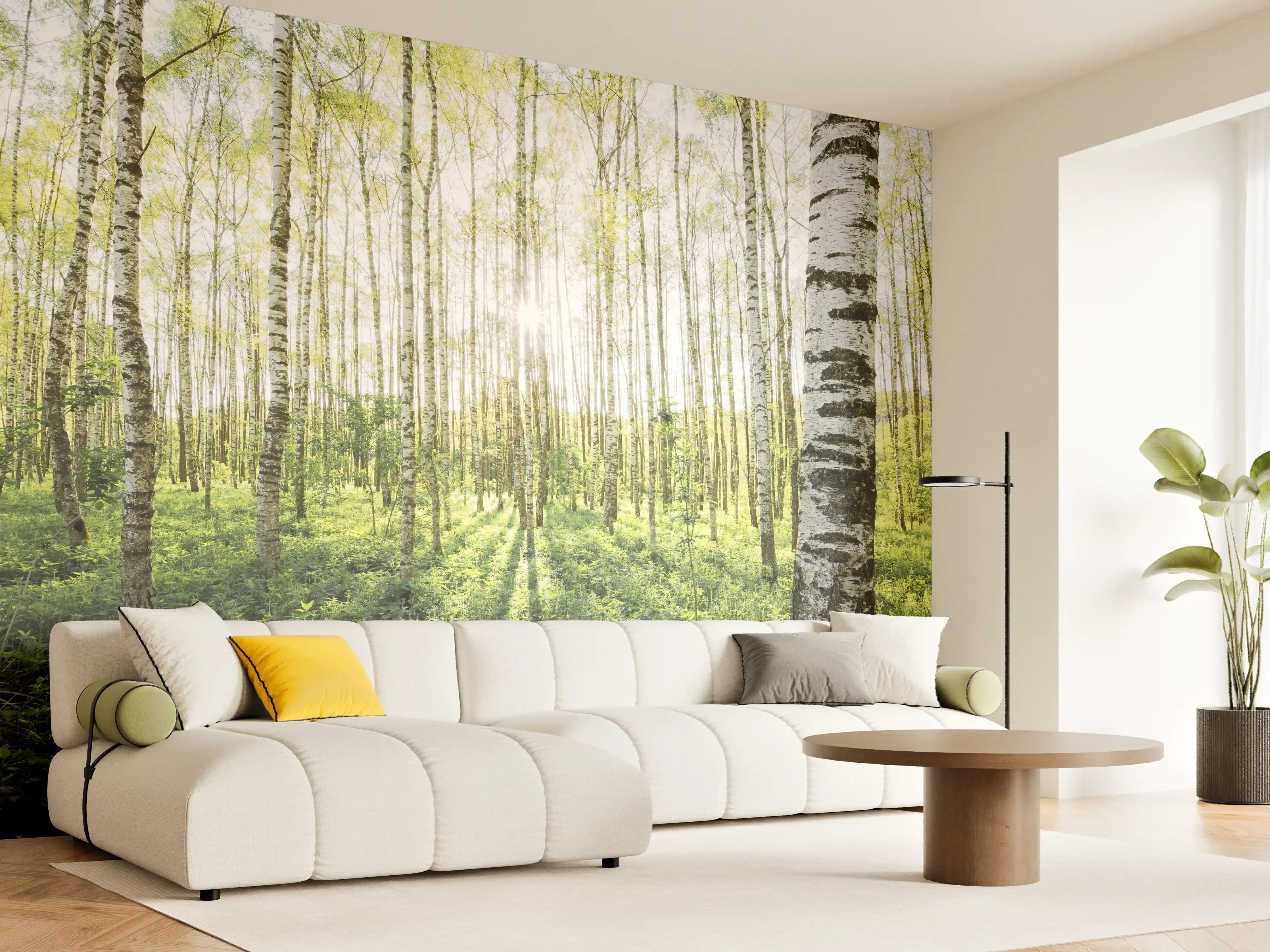 Wandverkleidung Wohnzimmer - Heller Birkenwald im Frühling