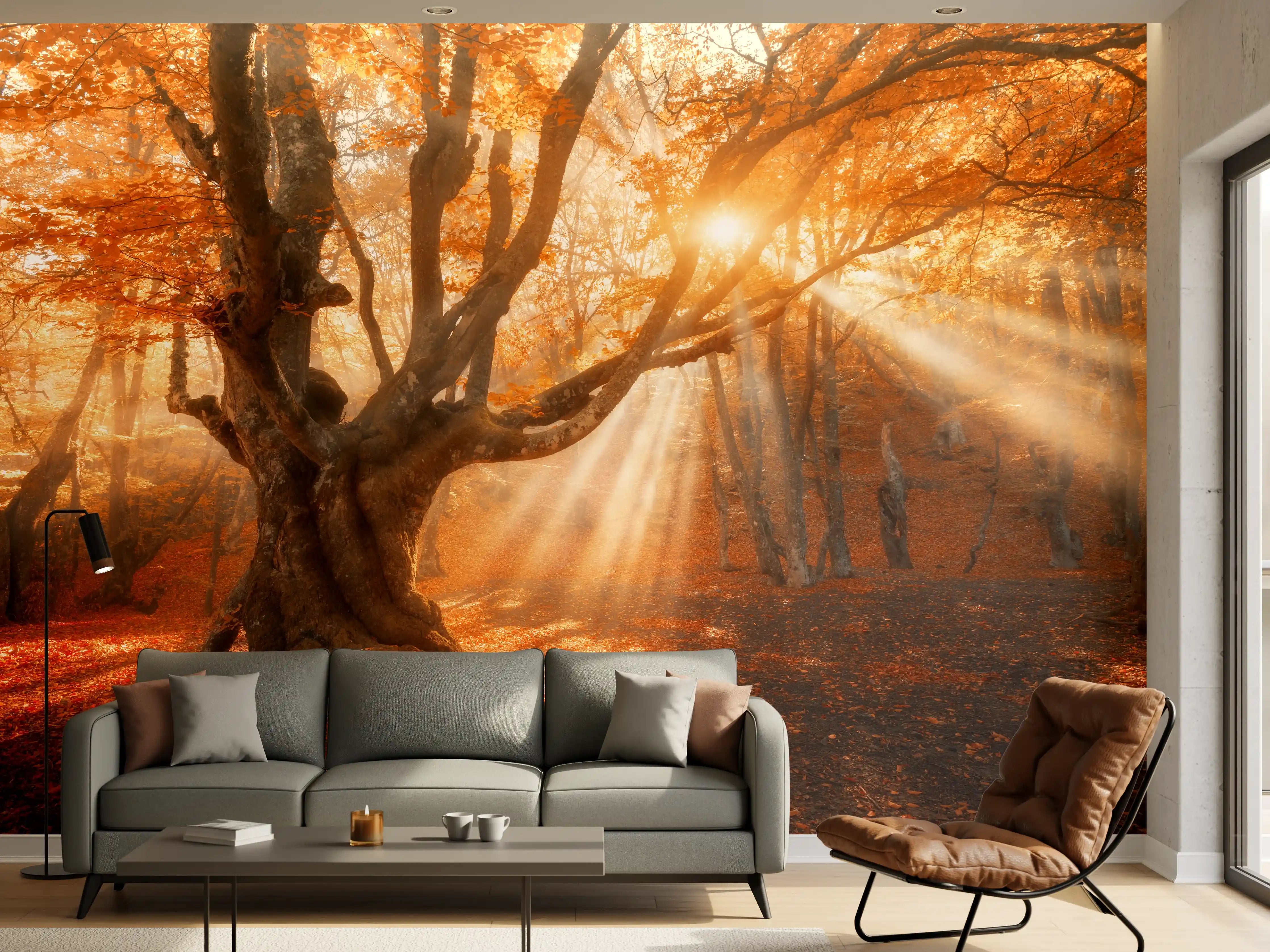 Wandverkleidung Wohnzimmer - Herbstliche Lichtspiele im Wald