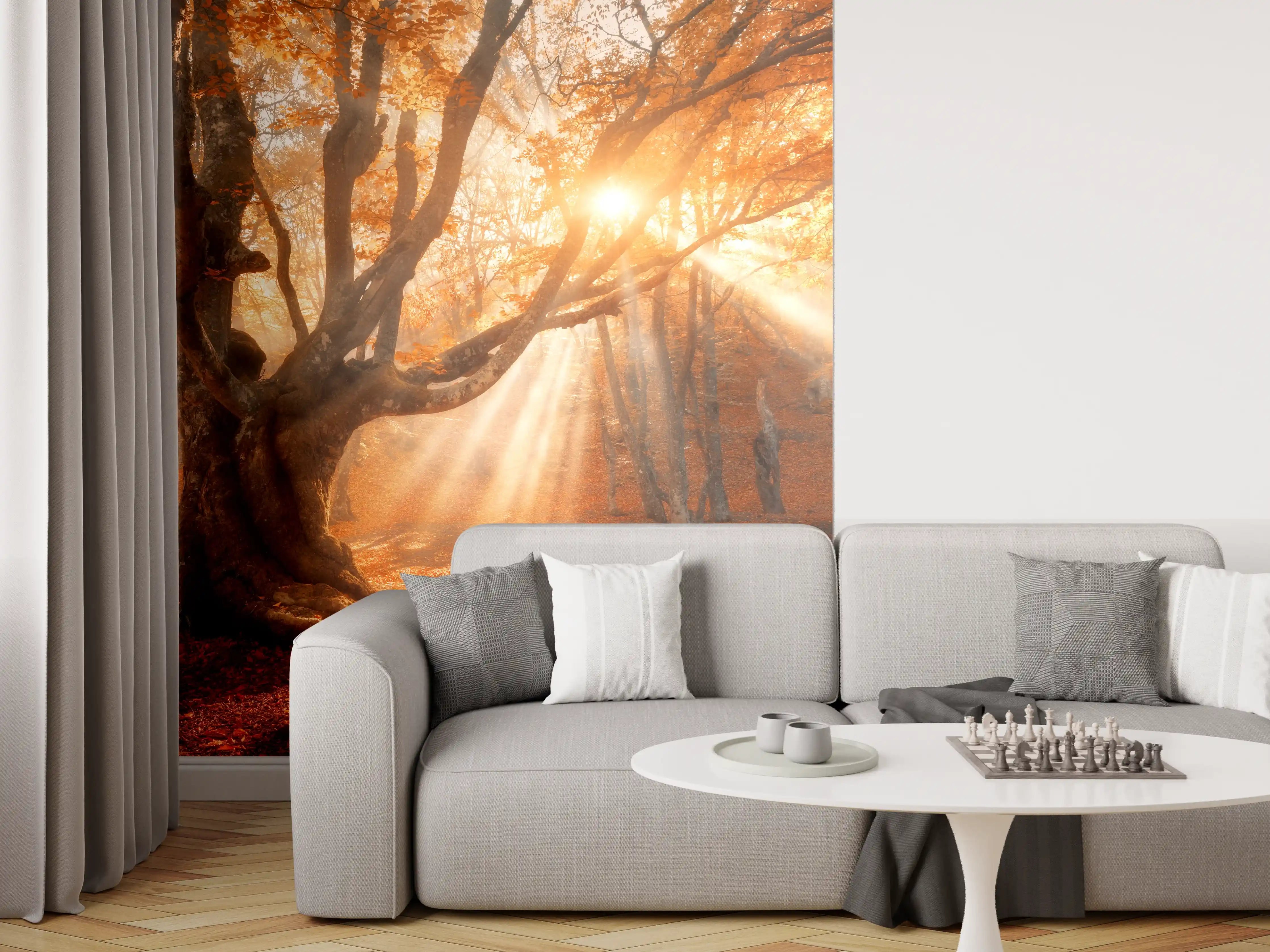 Wandverkleidung Wohnzimmer - Herbstliche Lichtspiele im Wald