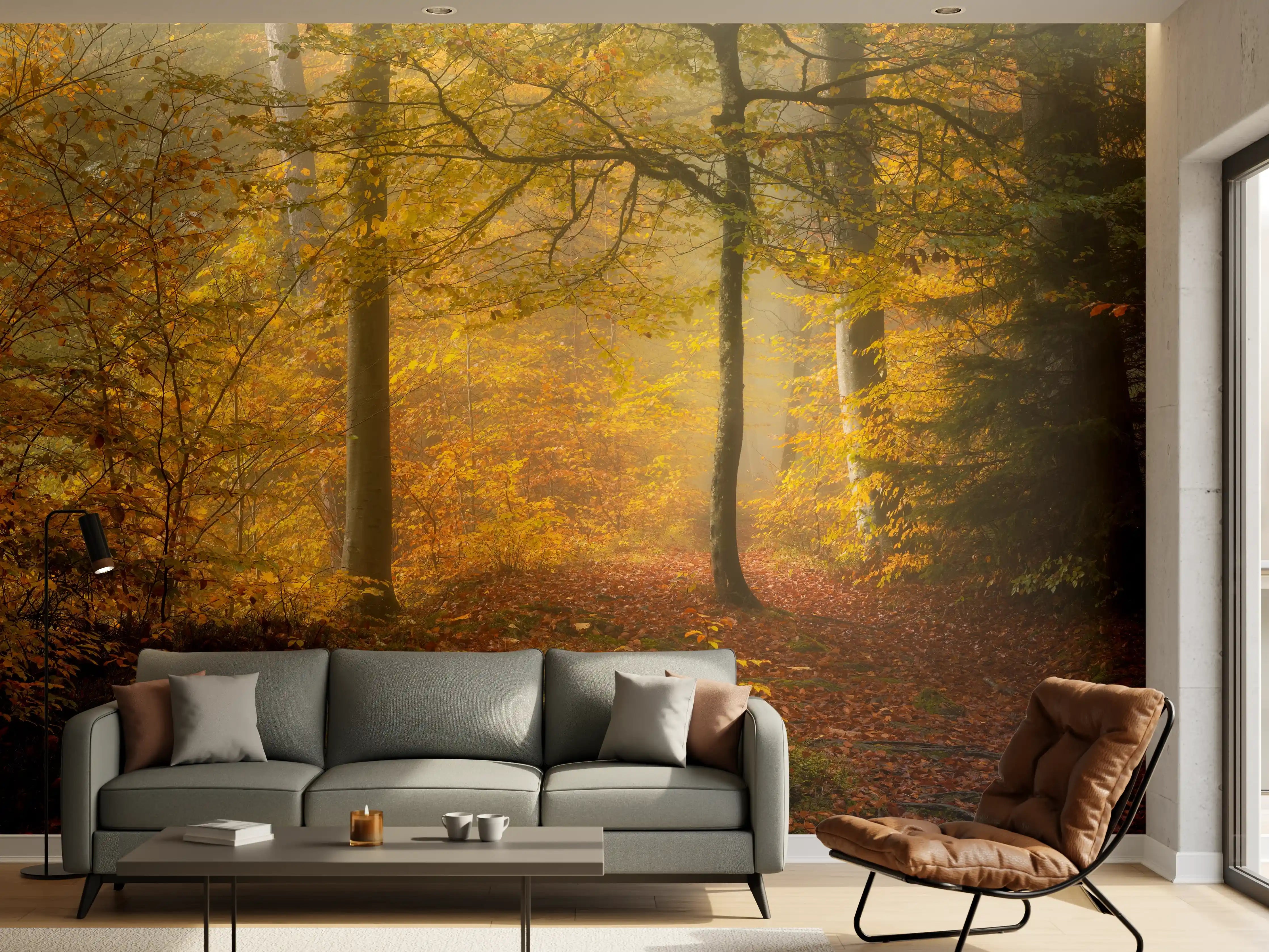 Wandverkleidung Wohnzimmer - Herbstlicher Waldspaziergang in sanftem Licht