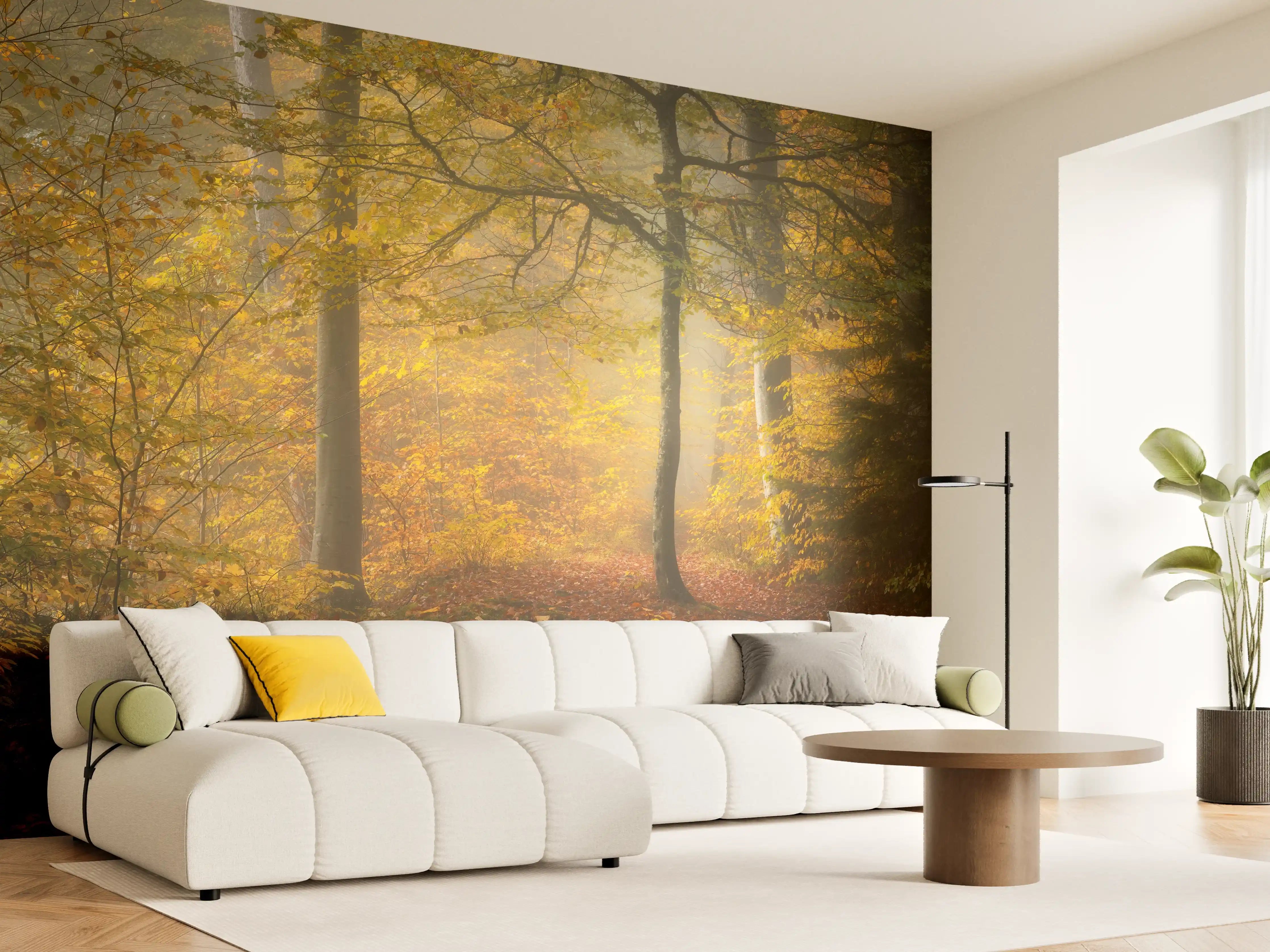 Wandverkleidung Wohnzimmer - Herbstlicher Waldspaziergang in sanftem Licht