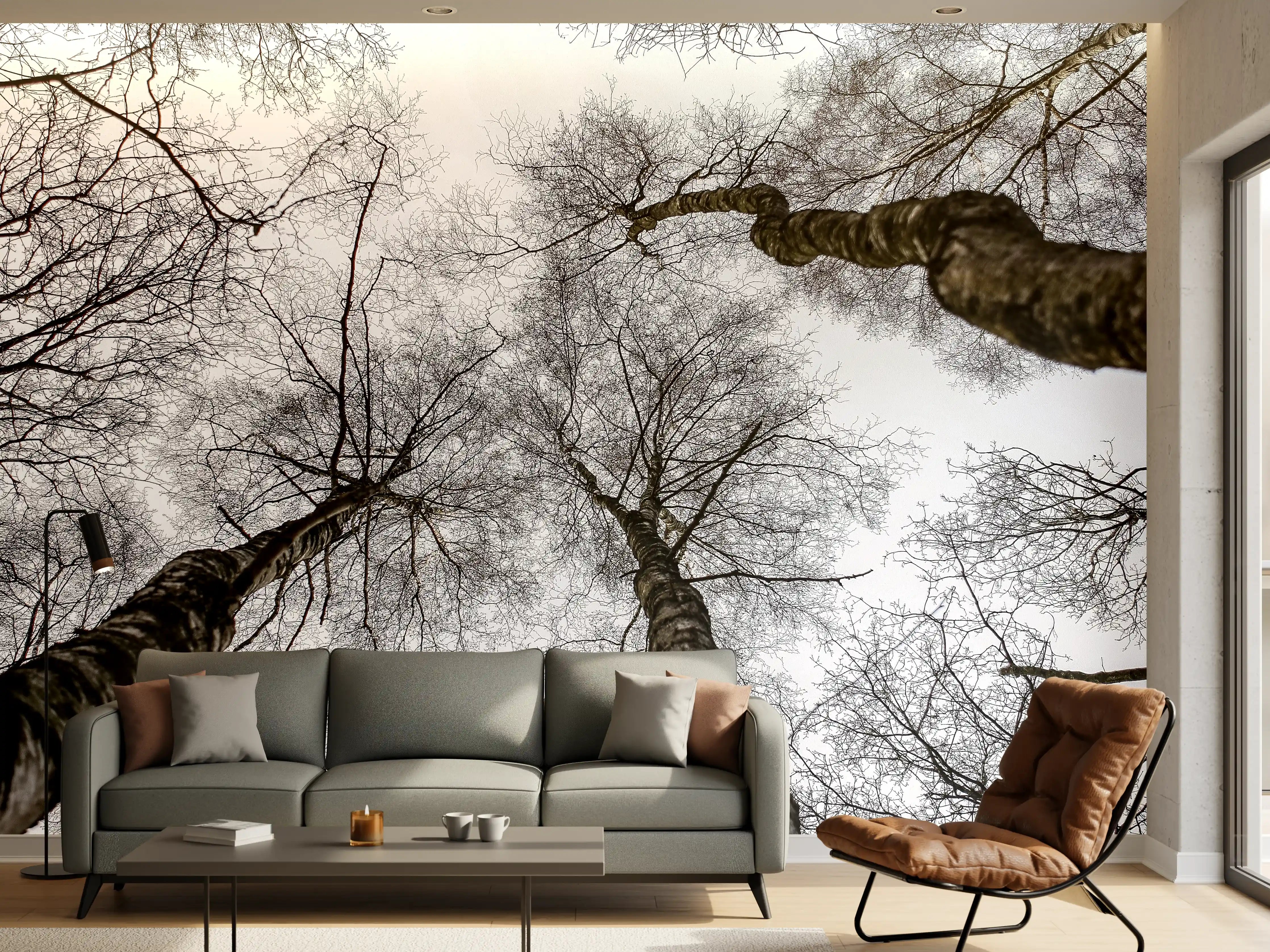 Wandverkleidung Wohnzimmer - Himmel über Baumkronen