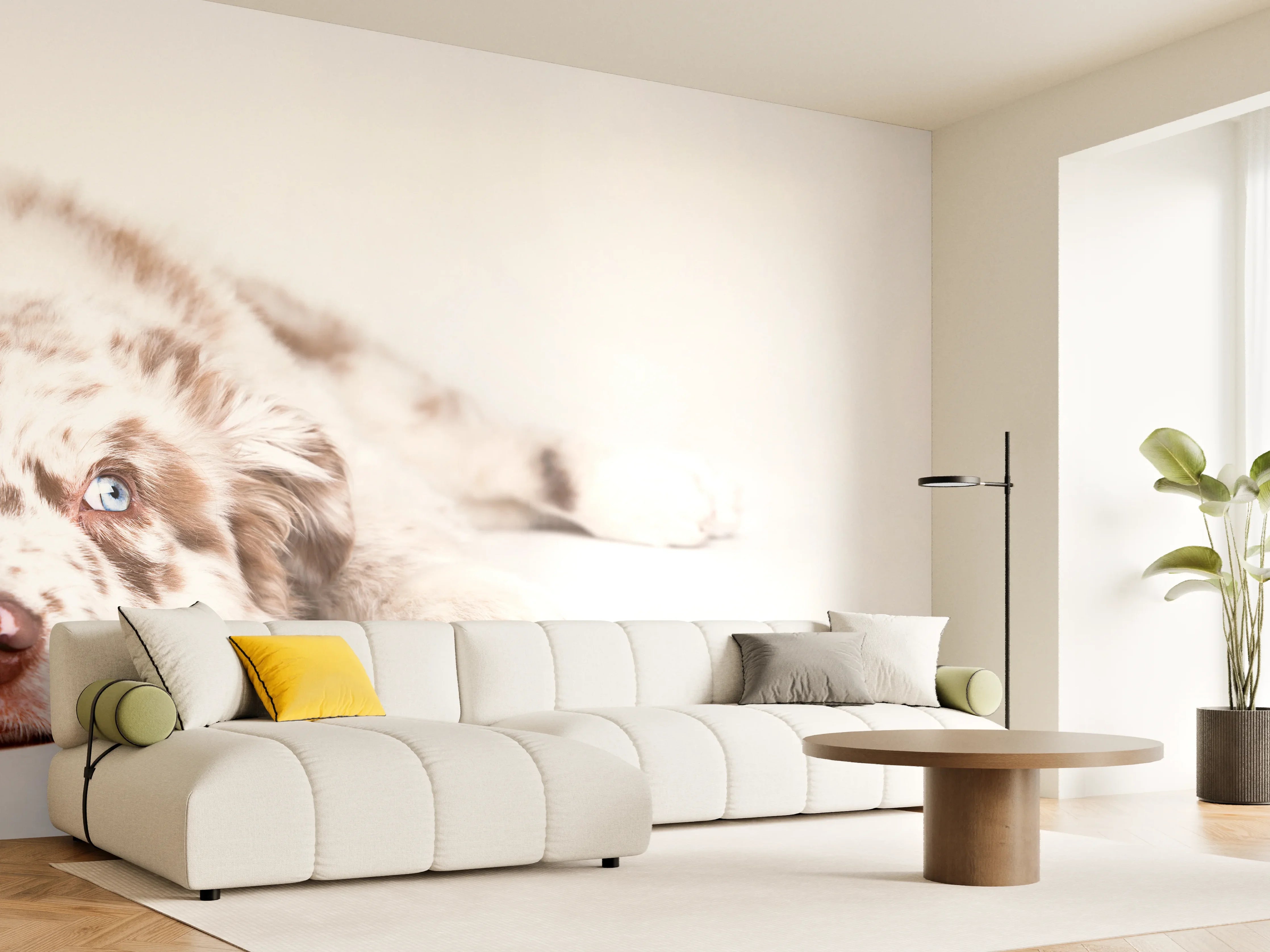 Wandverkleidung Wohnzimmer - Hunde Portrait - Australian Shepherd