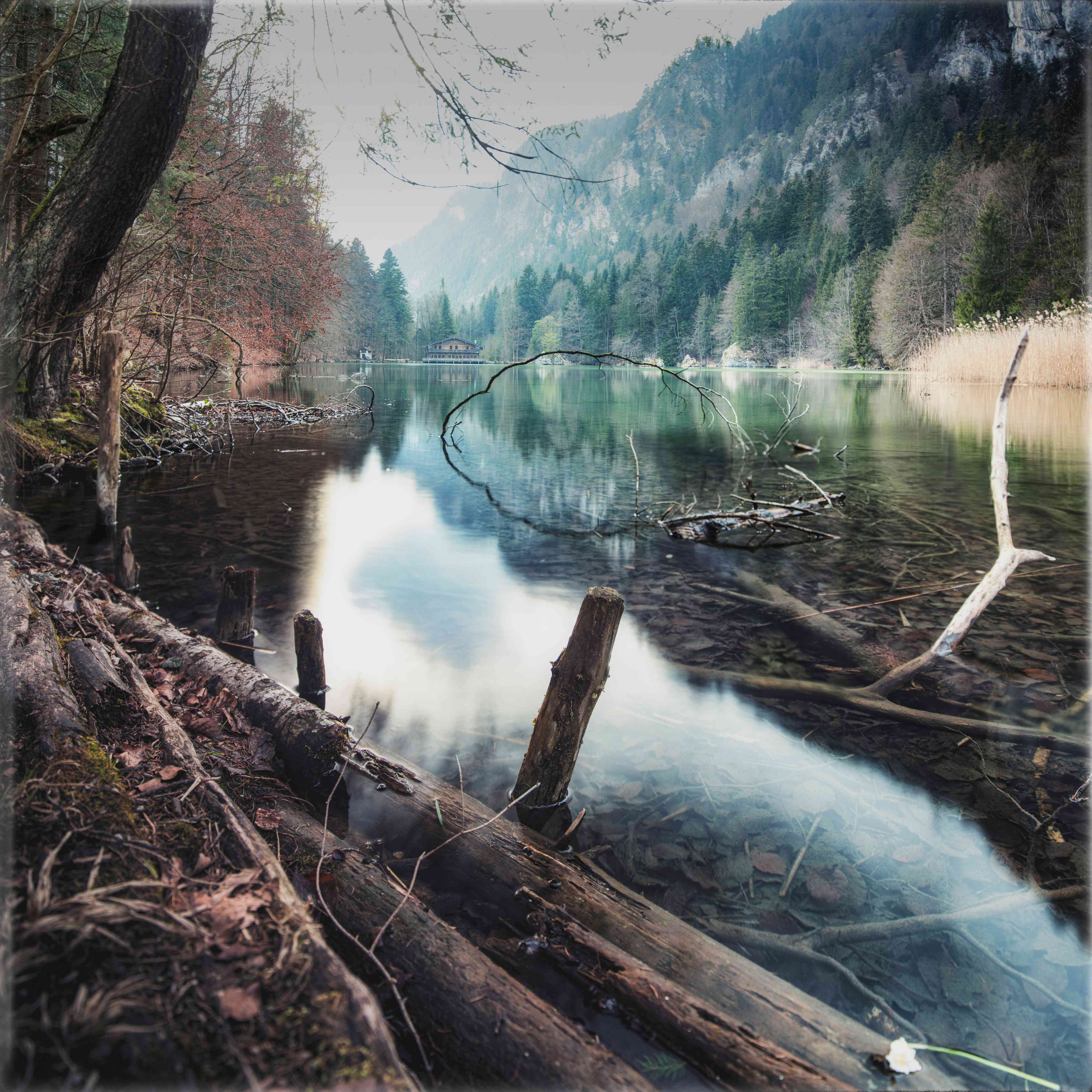 Wandverkleidung Wohnzimmer-Idyllische Flusslandschaft im Wald