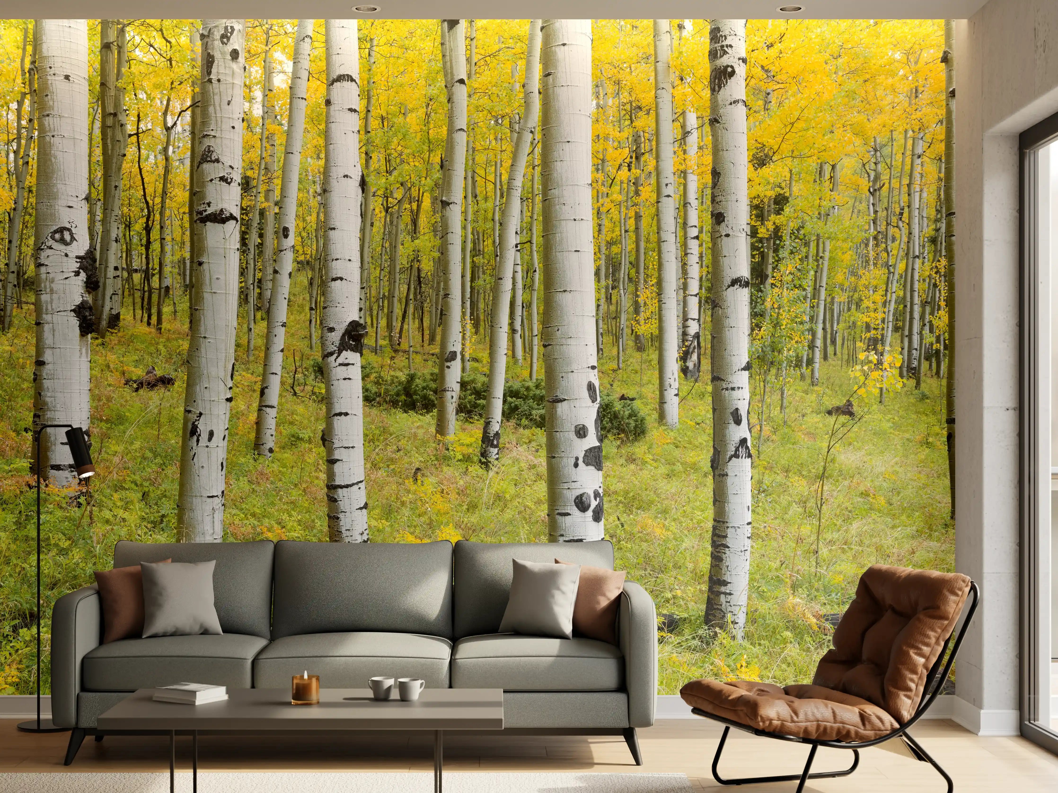 Wandverkleidung Wohnzimmer - Idyllischer Birkenwald im Herbst
