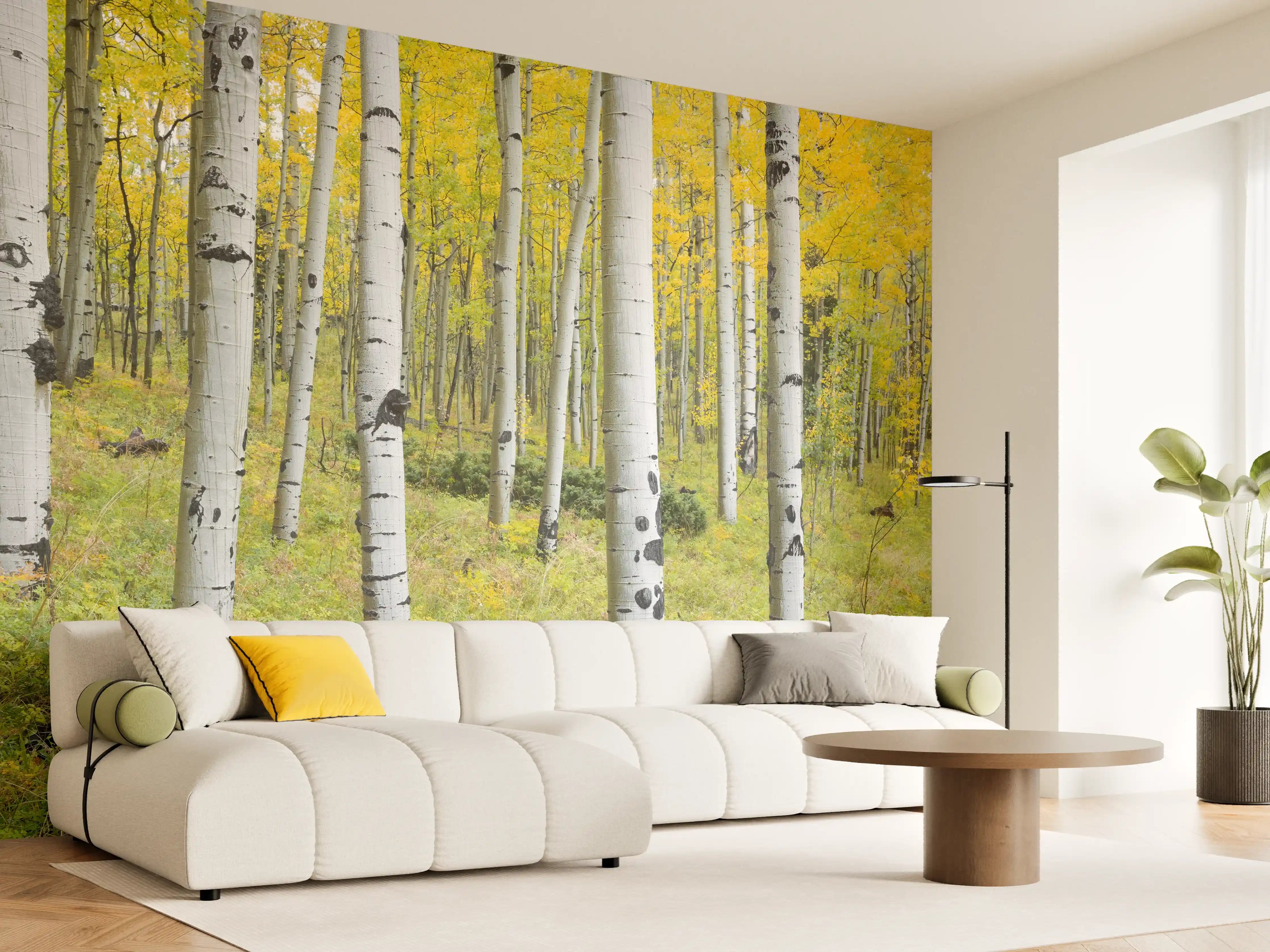 Wandverkleidung Wohnzimmer - Idyllischer Birkenwald im Herbst