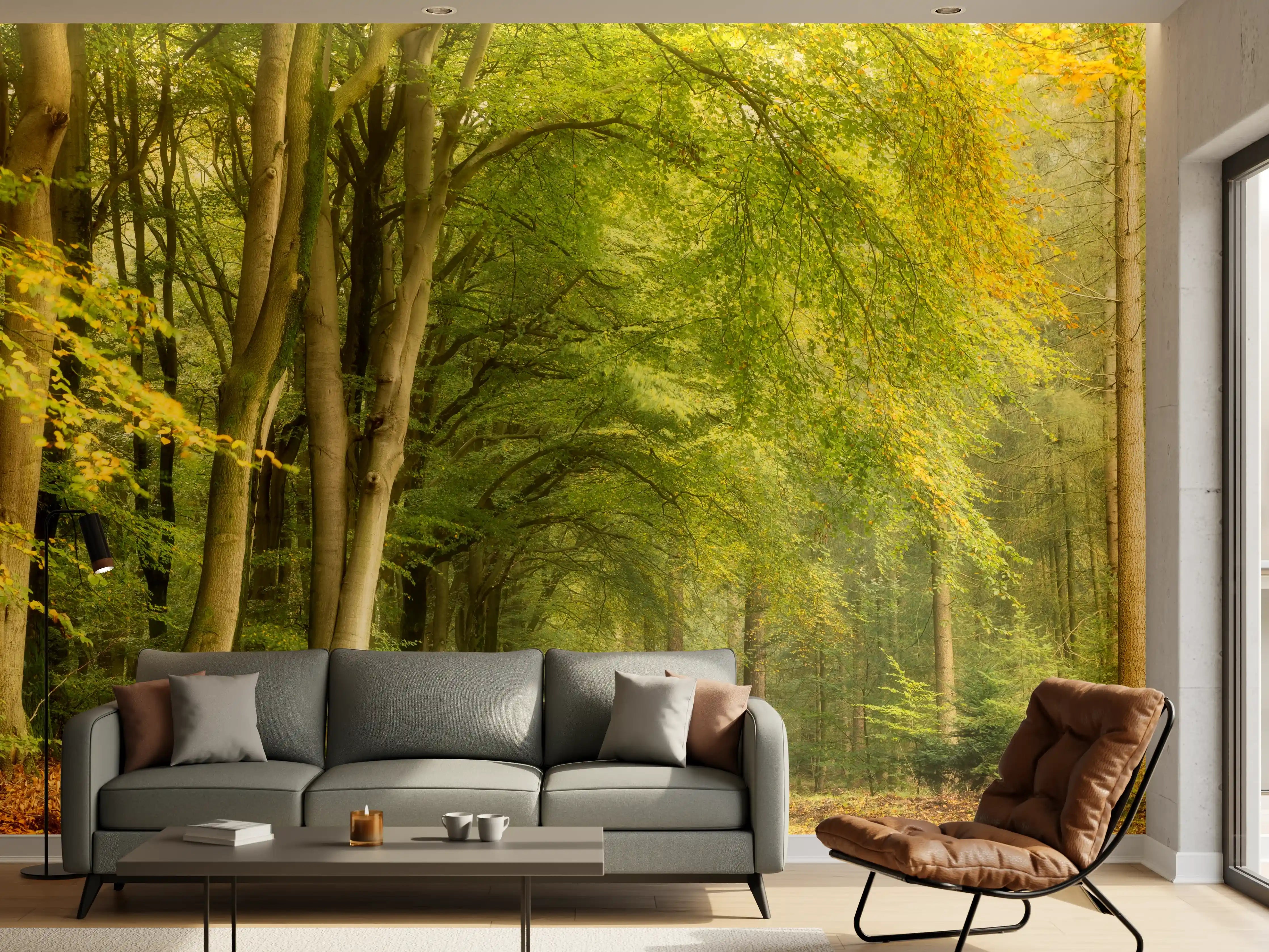 Wandverkleidung Wohnzimmer - Idyllischer Waldweg im Frühling