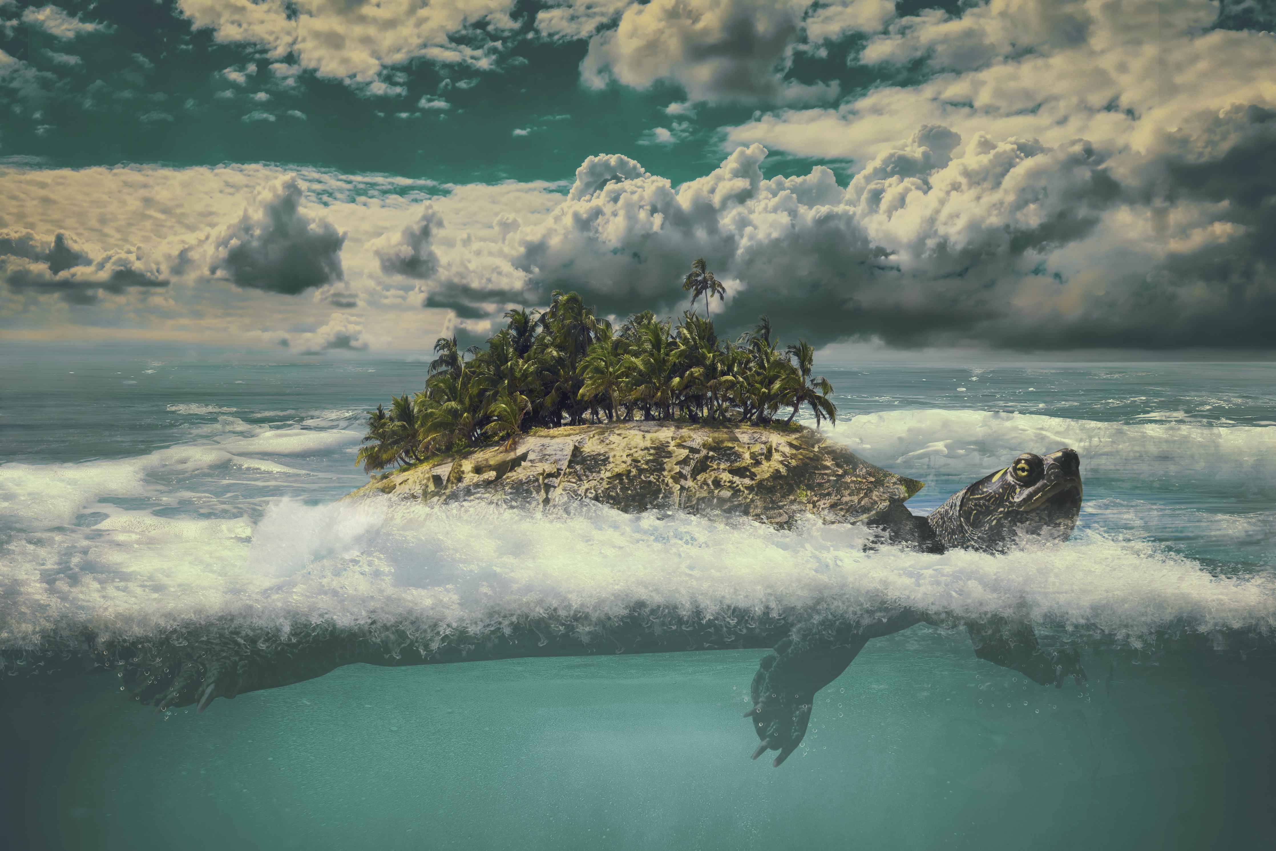 Wandverkleidung Wohnzimmer-Insel im Meer mit unterwasseransicht