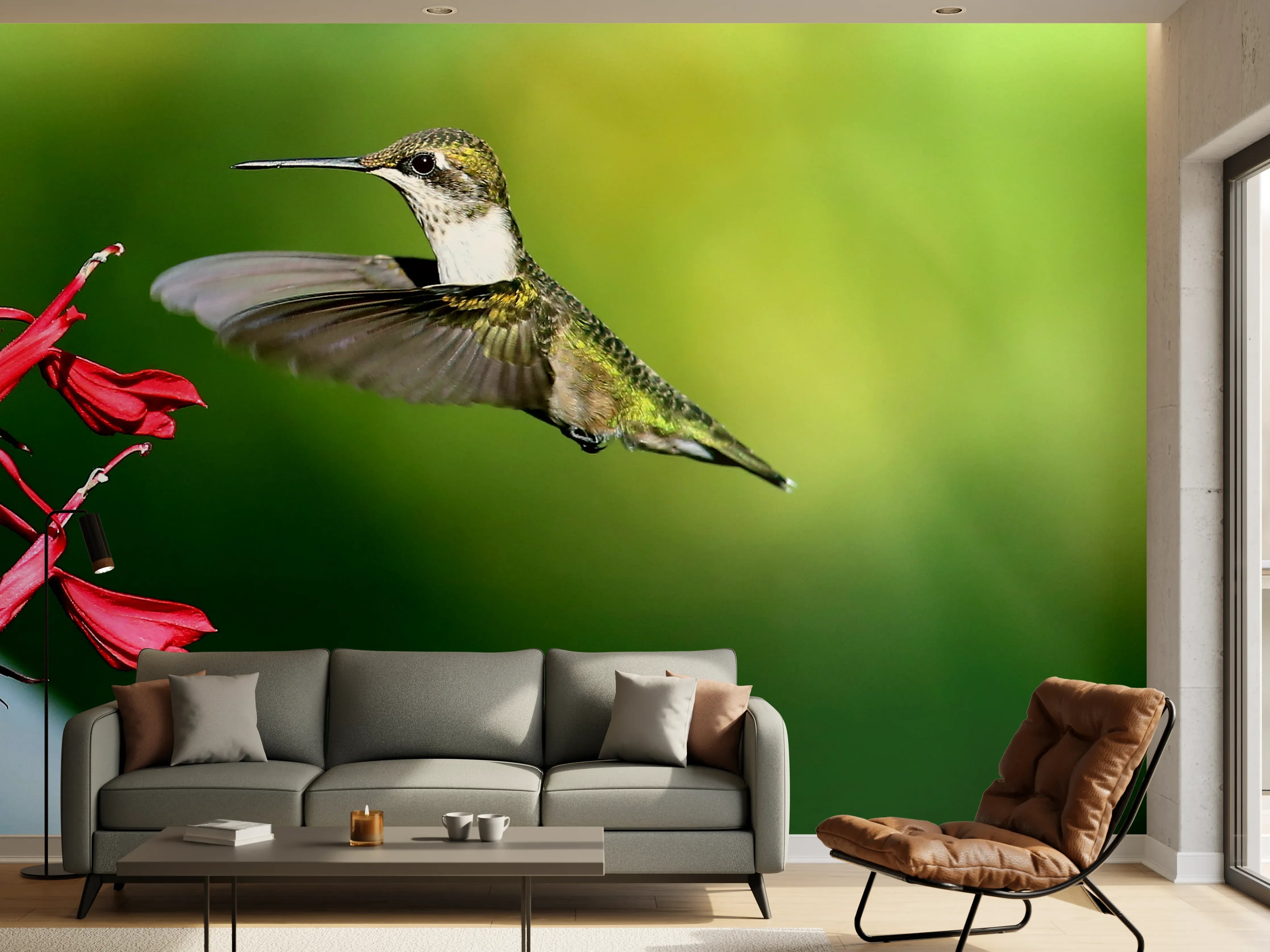 Wandverkleidung Wohnzimmer - Kolibri-Weibchen im Flug
