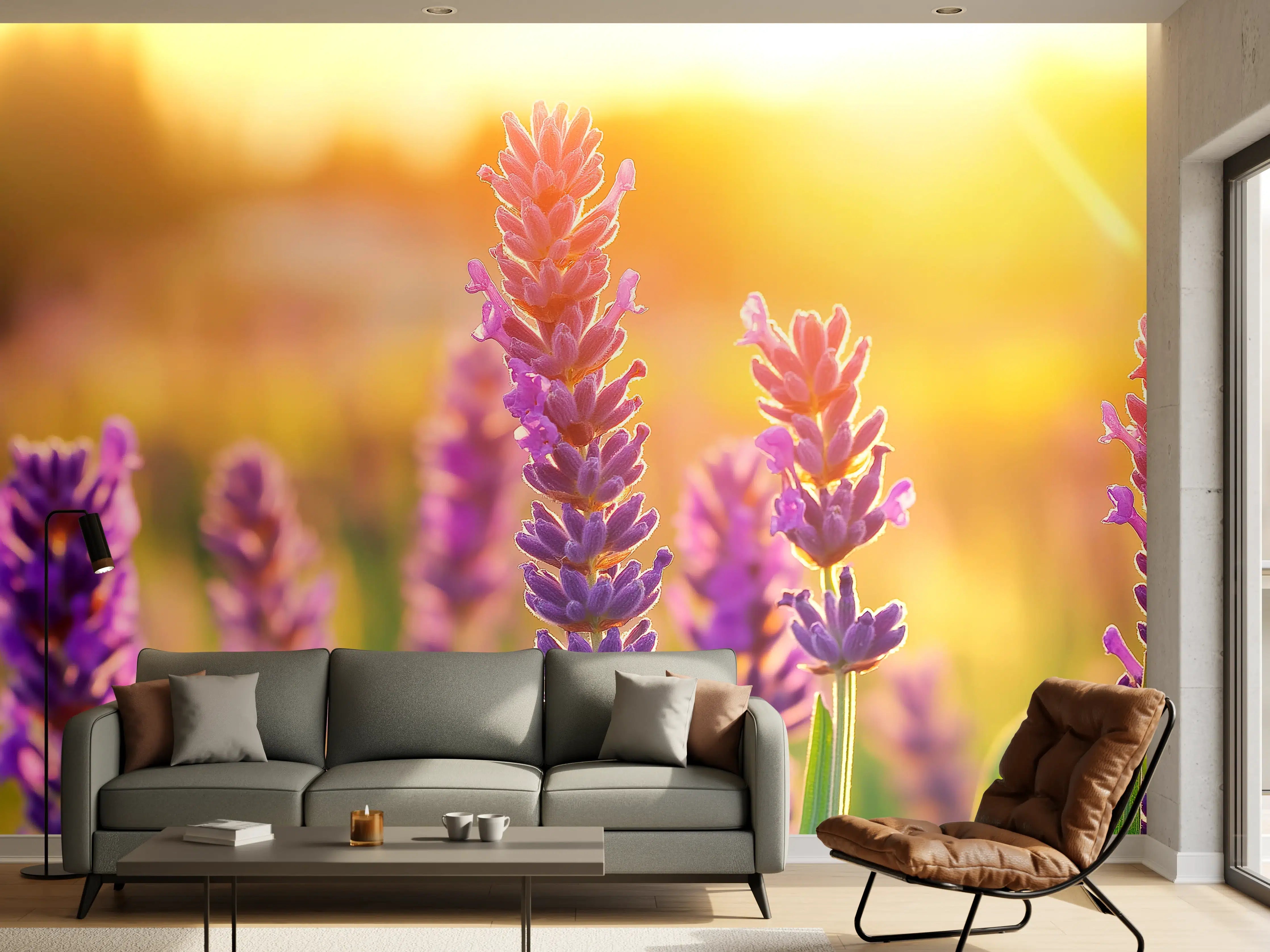 Wandverkleidung Wohnzimmer - Lavendel in goldenem Abendlicht