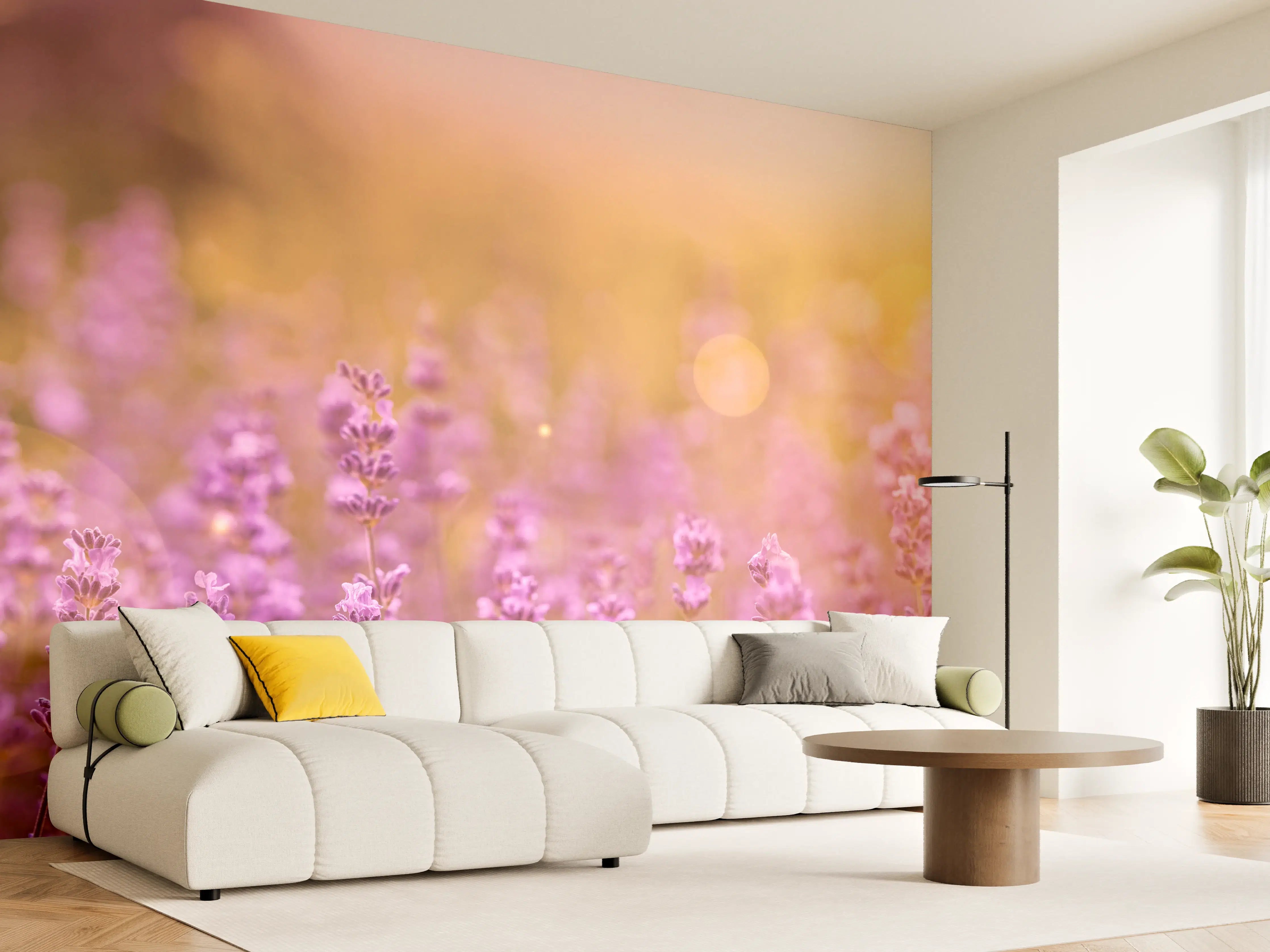 Wandverkleidung Wohnzimmer - Lavendelfeld im warmen Abendlicht
