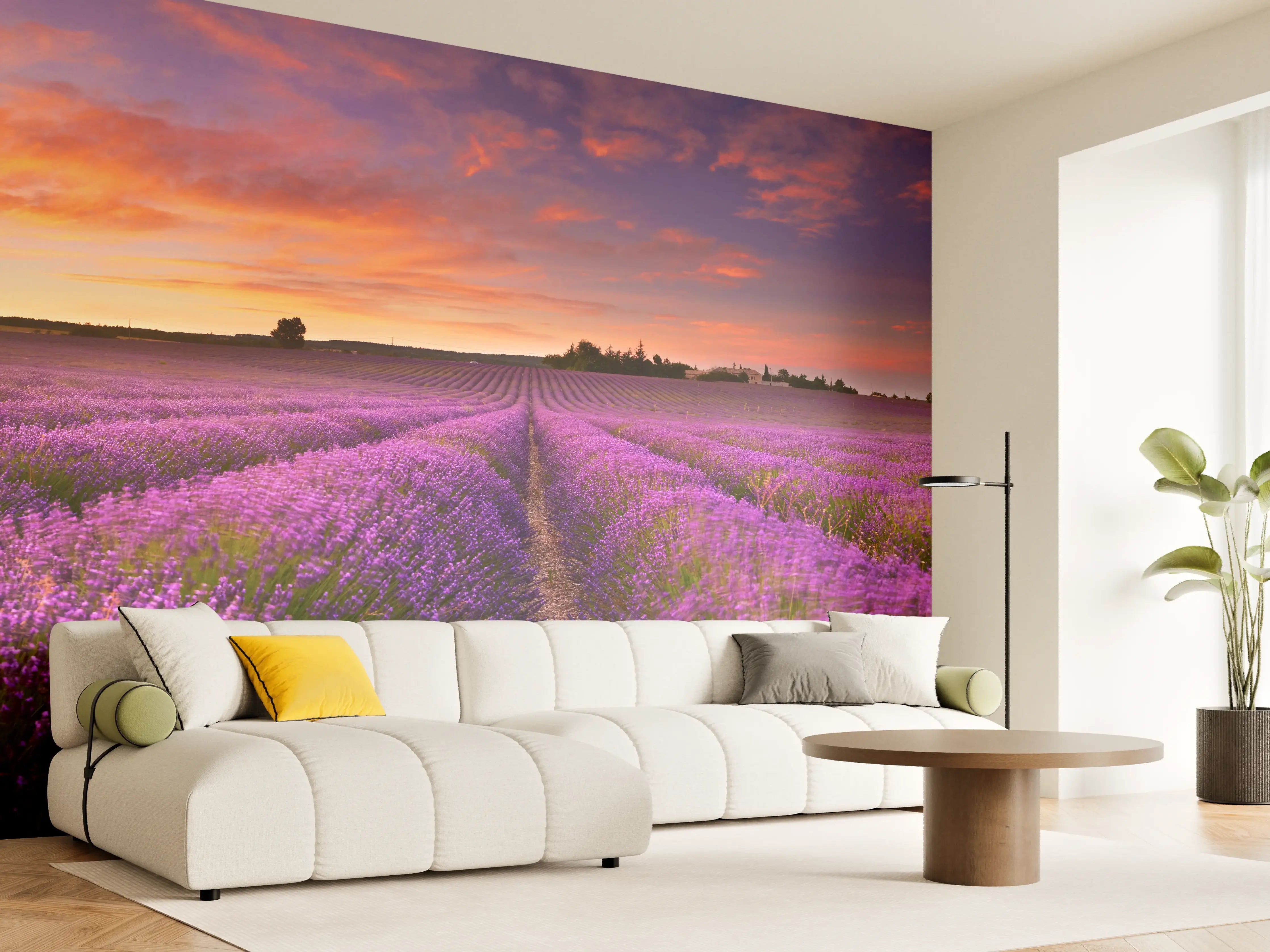 Wandverkleidung Wohnzimmer - Lavendelfeld in der Morgendämmerung