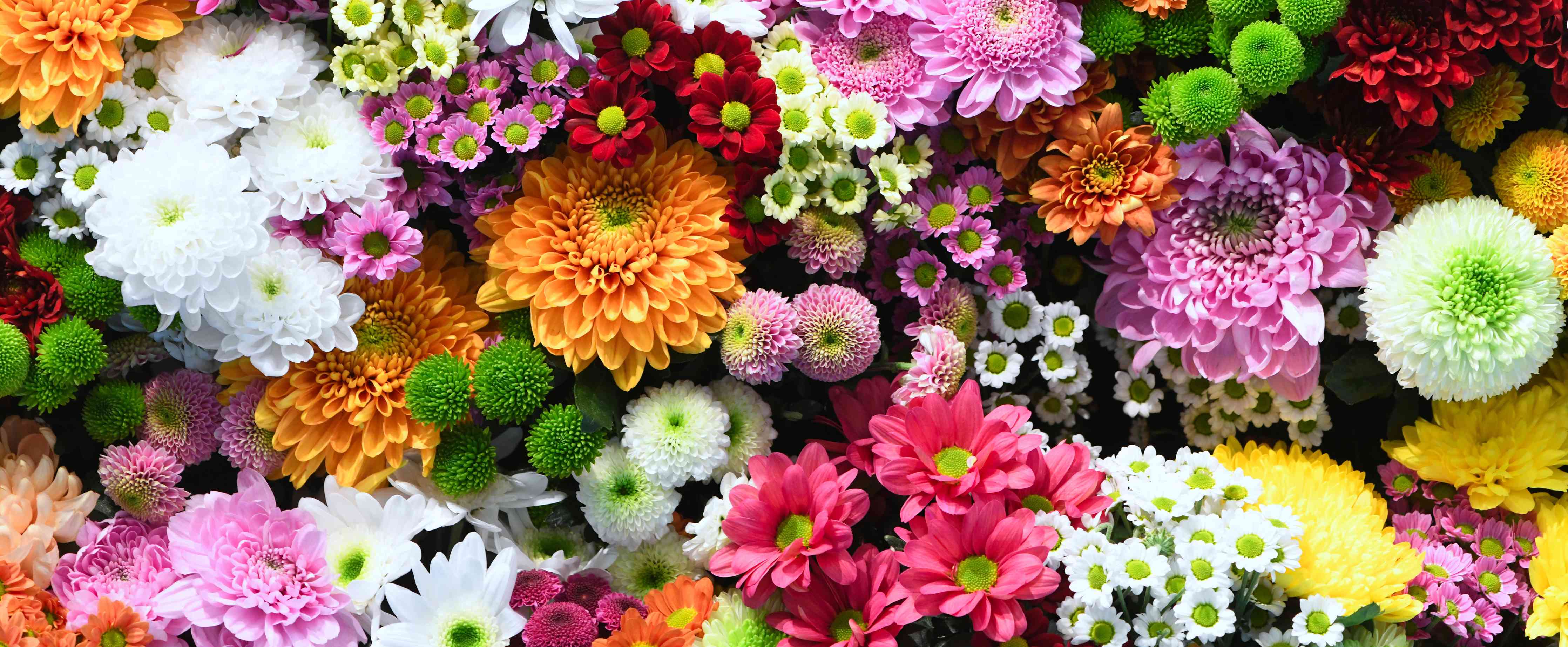 Wandverkleidung Wohnzimmer-Lebendige Blumenvielfalt in leuchtenden Farben