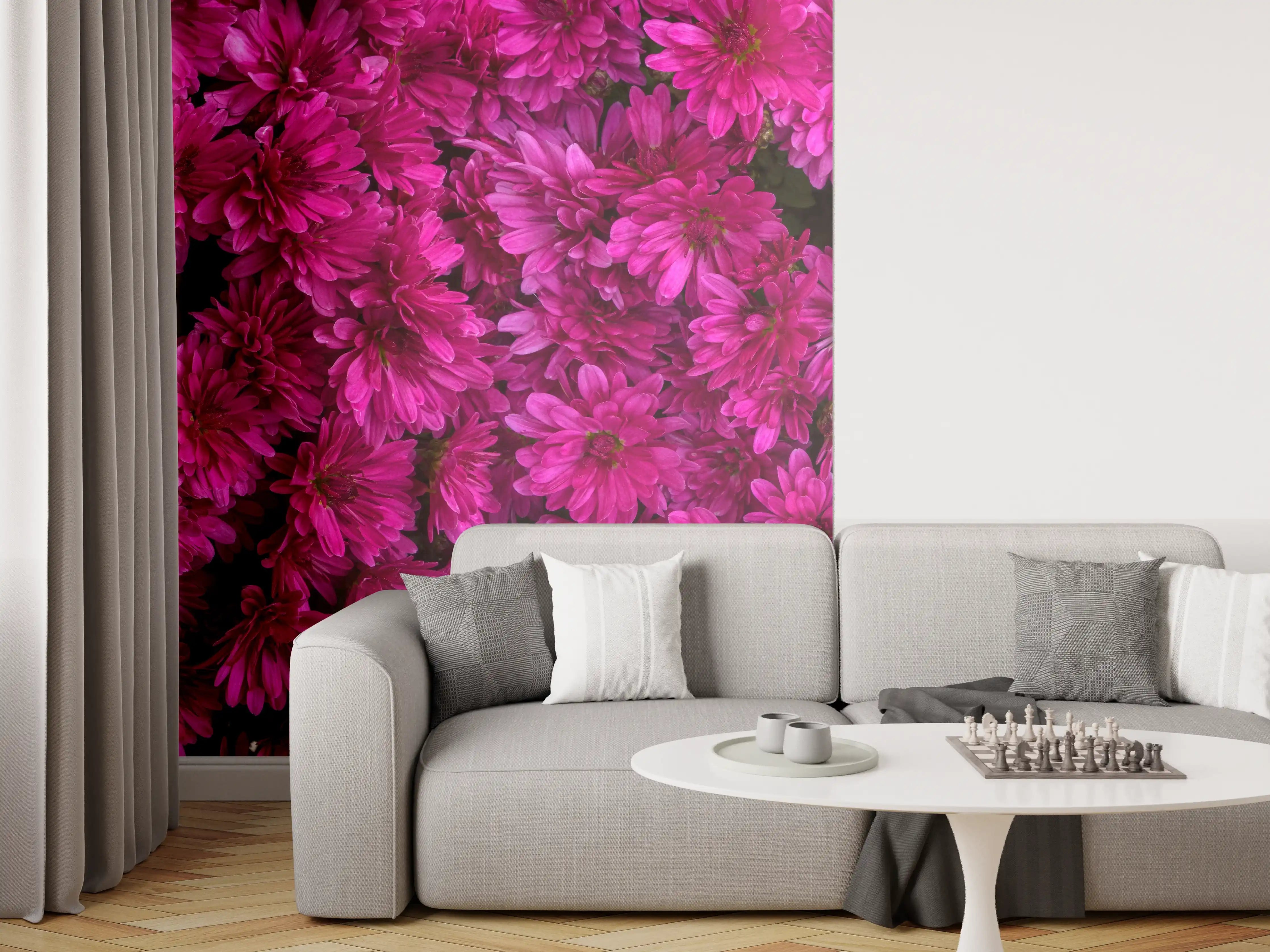 Wandverkleidung Wohnzimmer - Magenta Blüten von Chrysanthemen