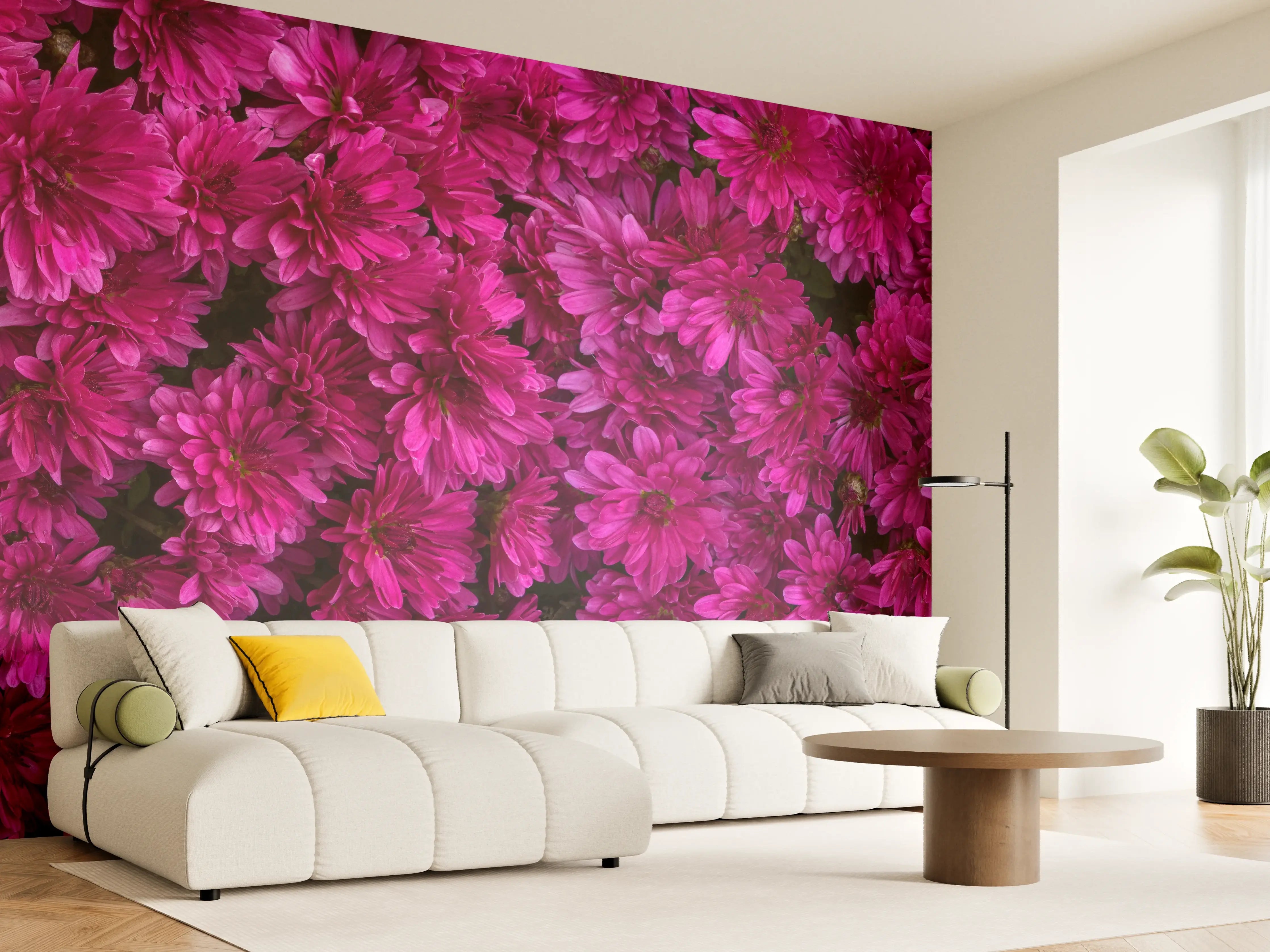 Wandverkleidung Wohnzimmer - Magenta Blüten von Chrysanthemen