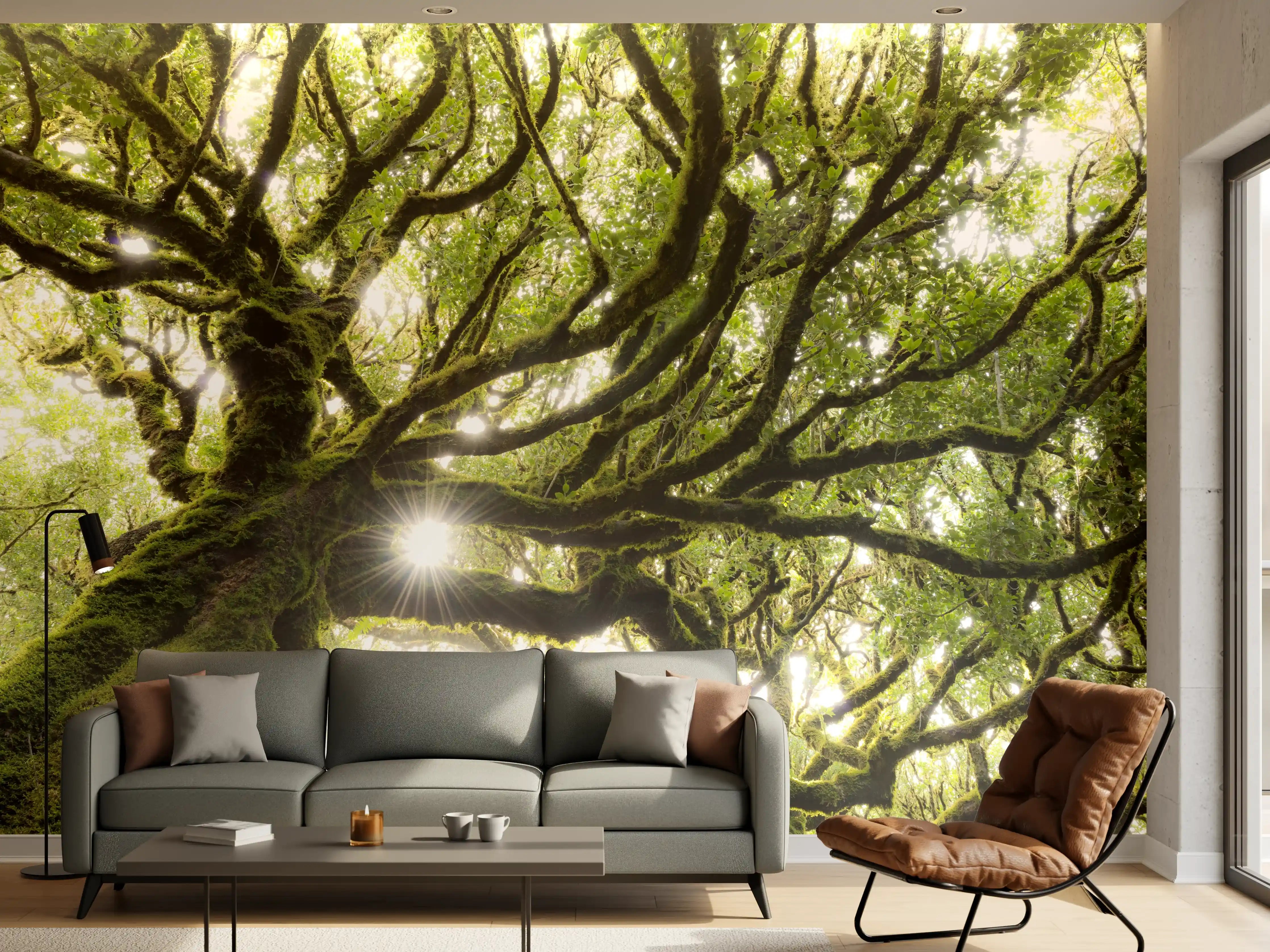 Wandverkleidung Wohnzimmer - Majestärer Baum mit Sonnenlicht