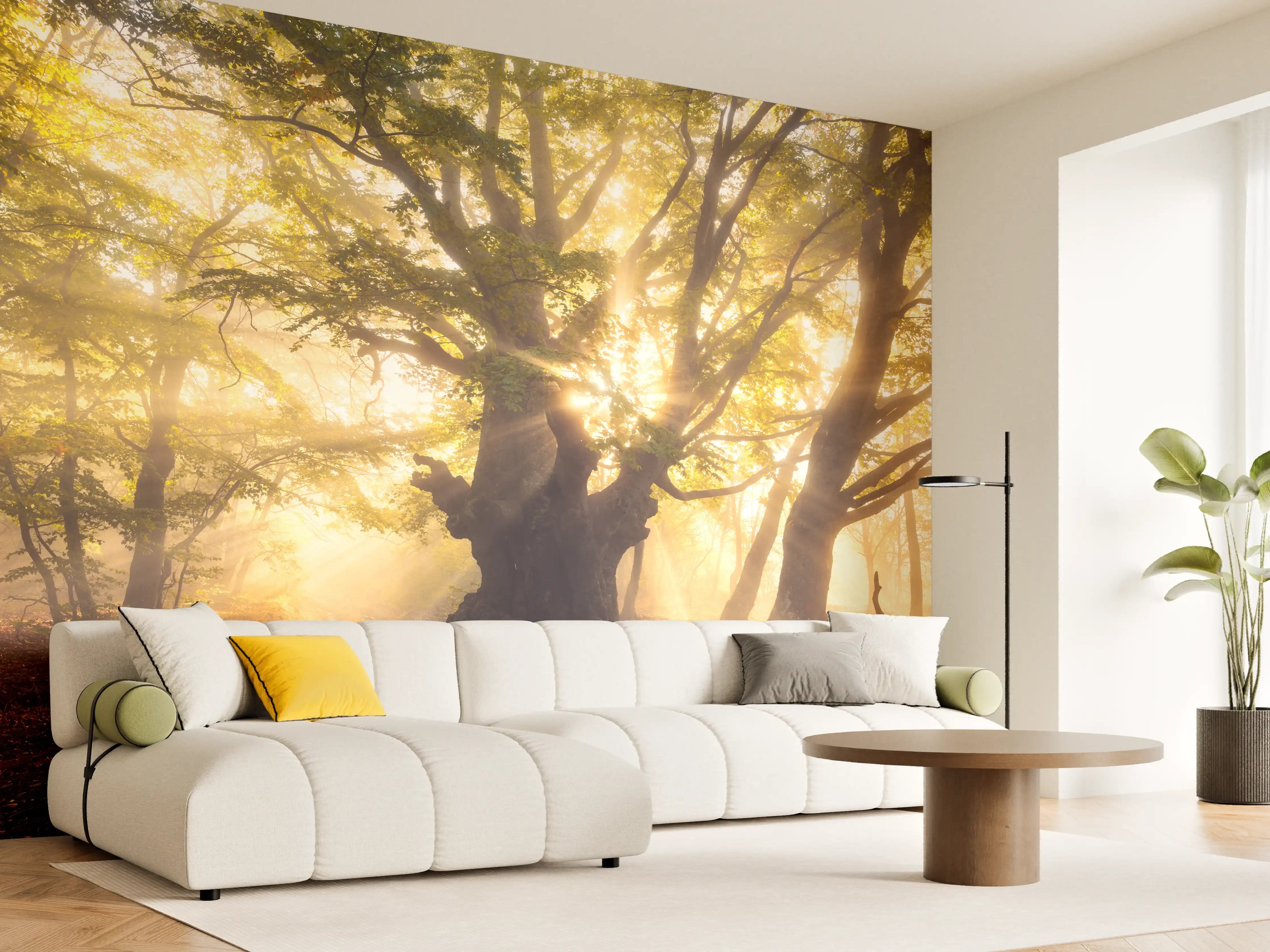 Wandverkleidung Wohnzimmer - Majestärer alter Baum im Sonnenlicht