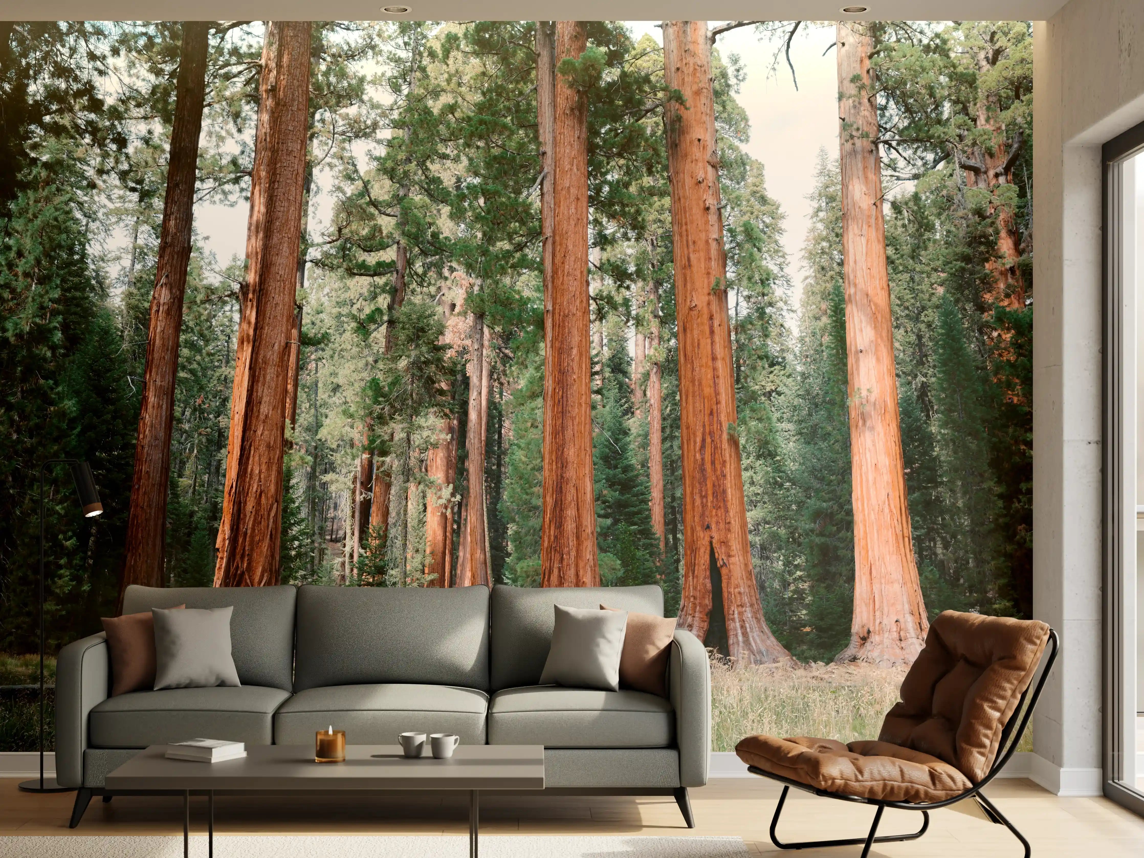 Wandverkleidung Wohnzimmer - Majestätische rotewood Bäume in Naturkulisse