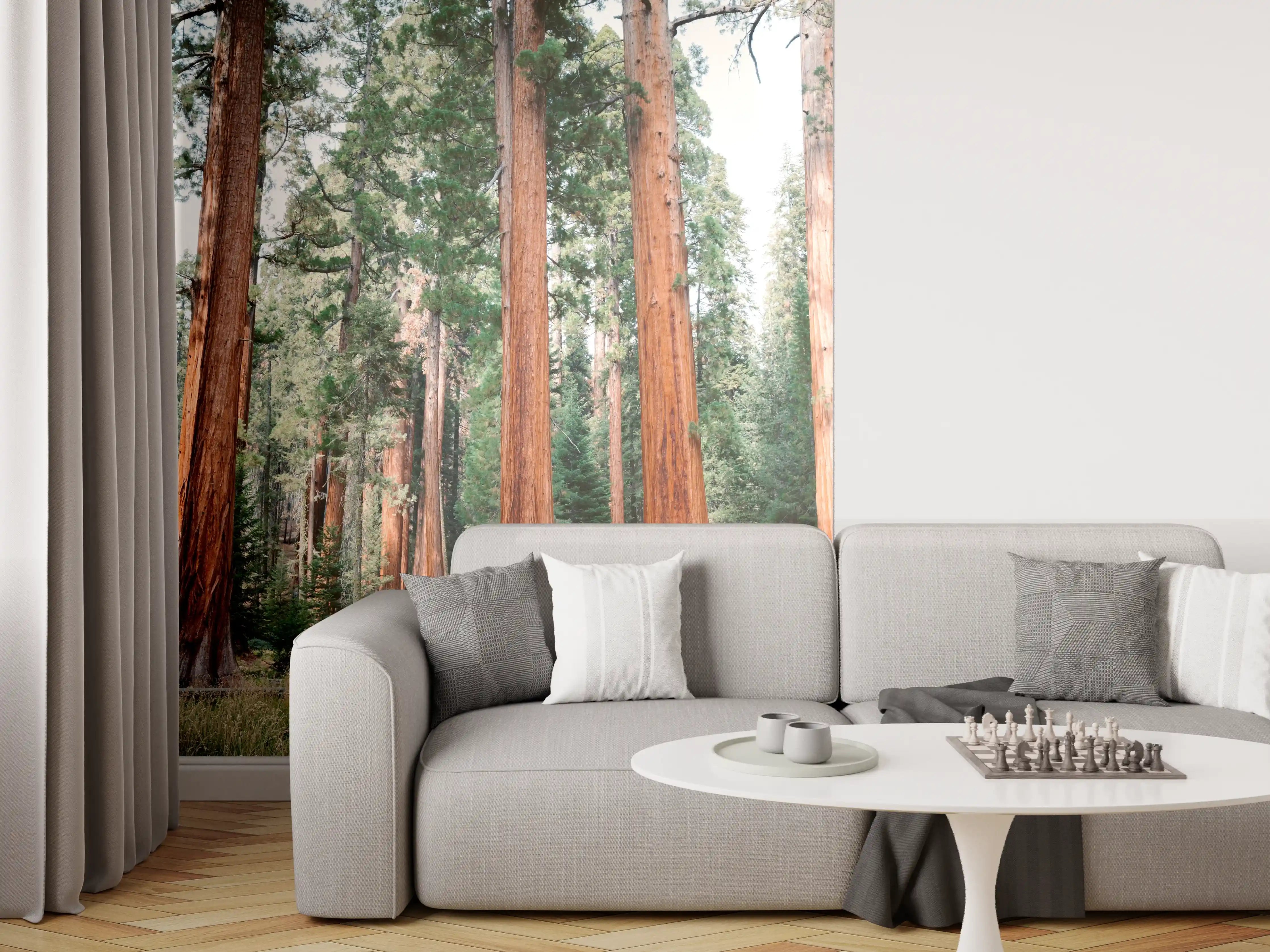 Wandverkleidung Wohnzimmer - Majestätische rotewood Bäume in Naturkulisse