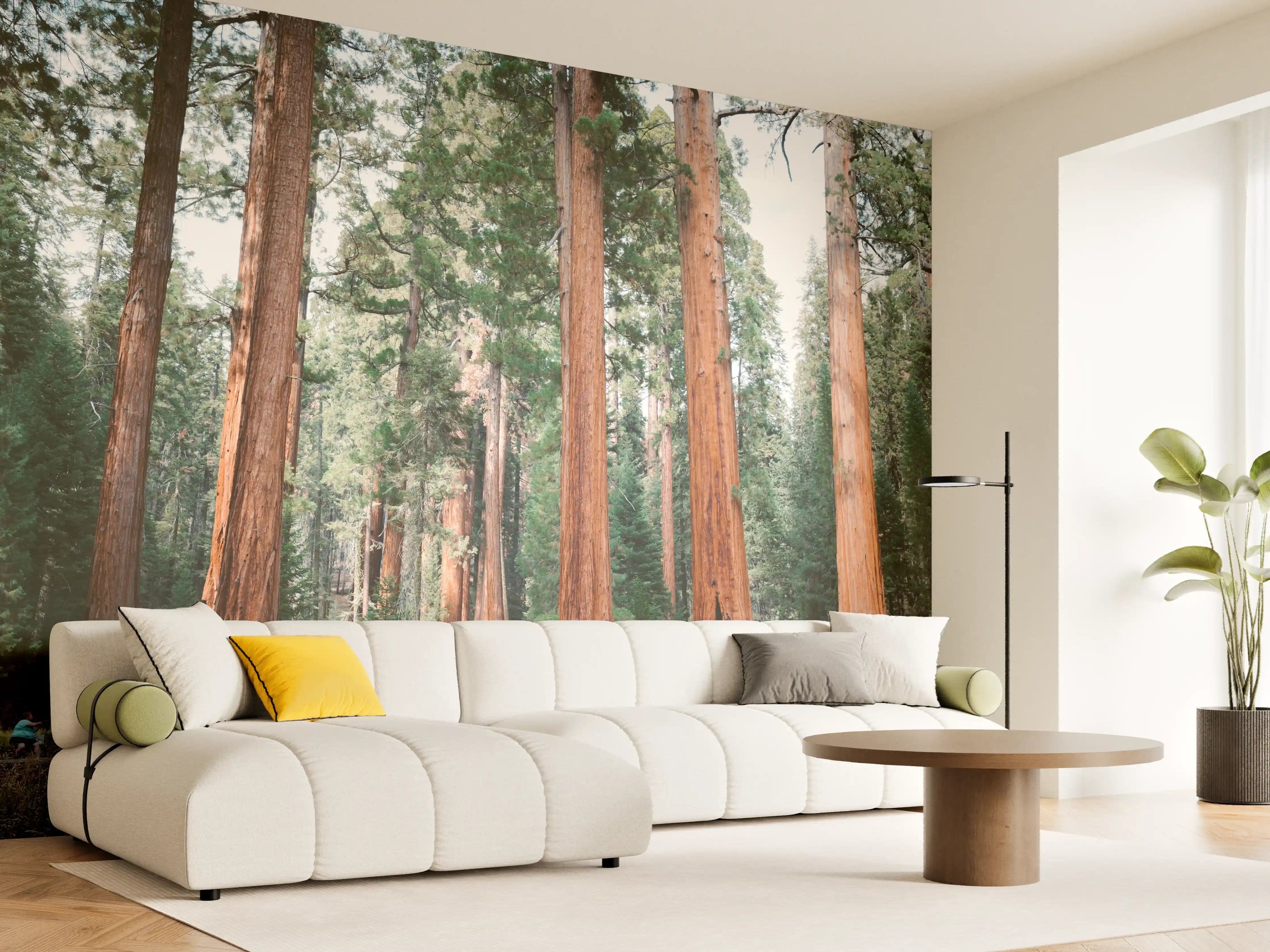 Wandverkleidung Wohnzimmer - Majestätische rotewood Bäume in Naturkulisse