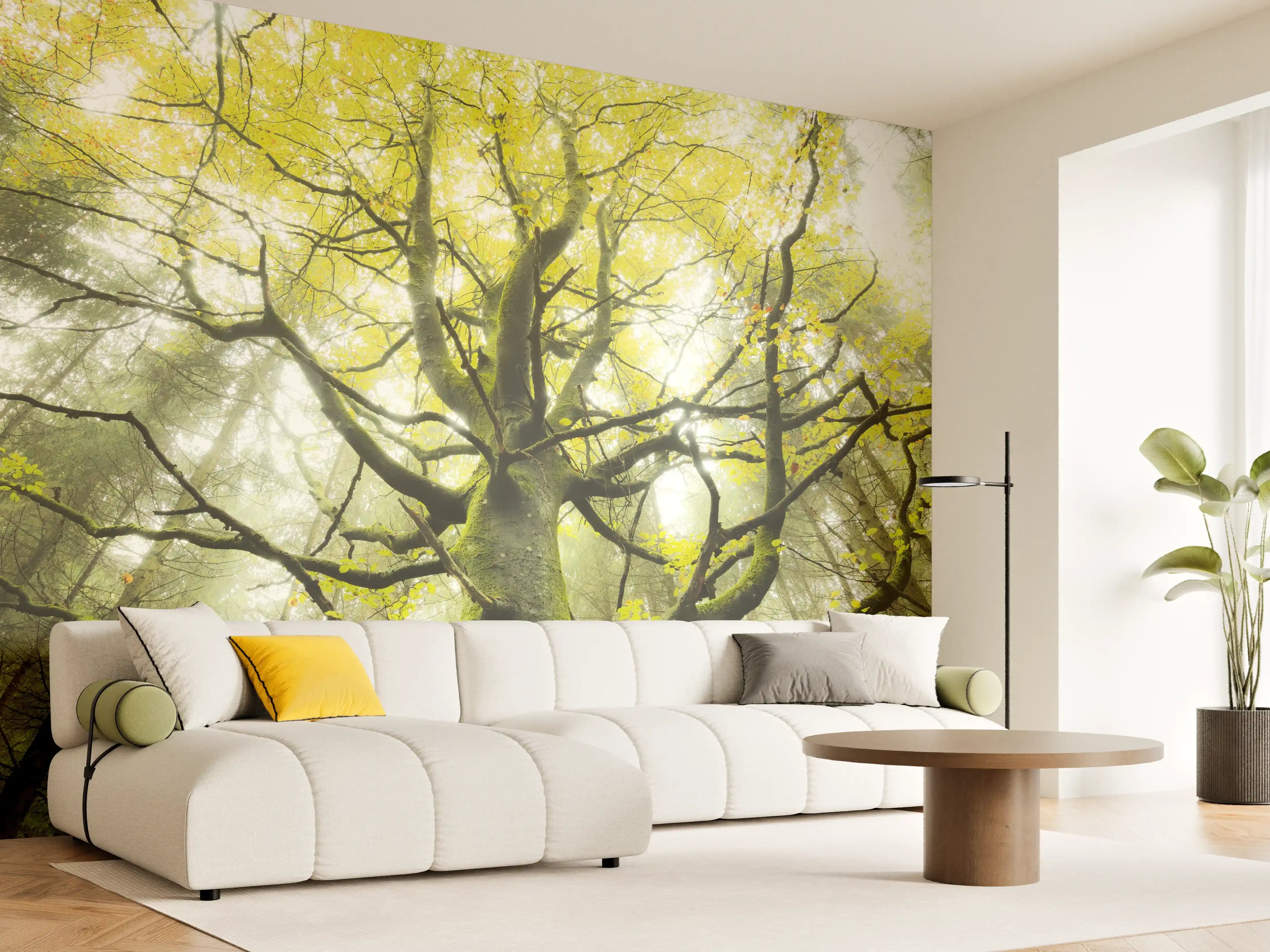 Wandverkleidung Wohnzimmer - Majestätischer Baum im Morgengrauen