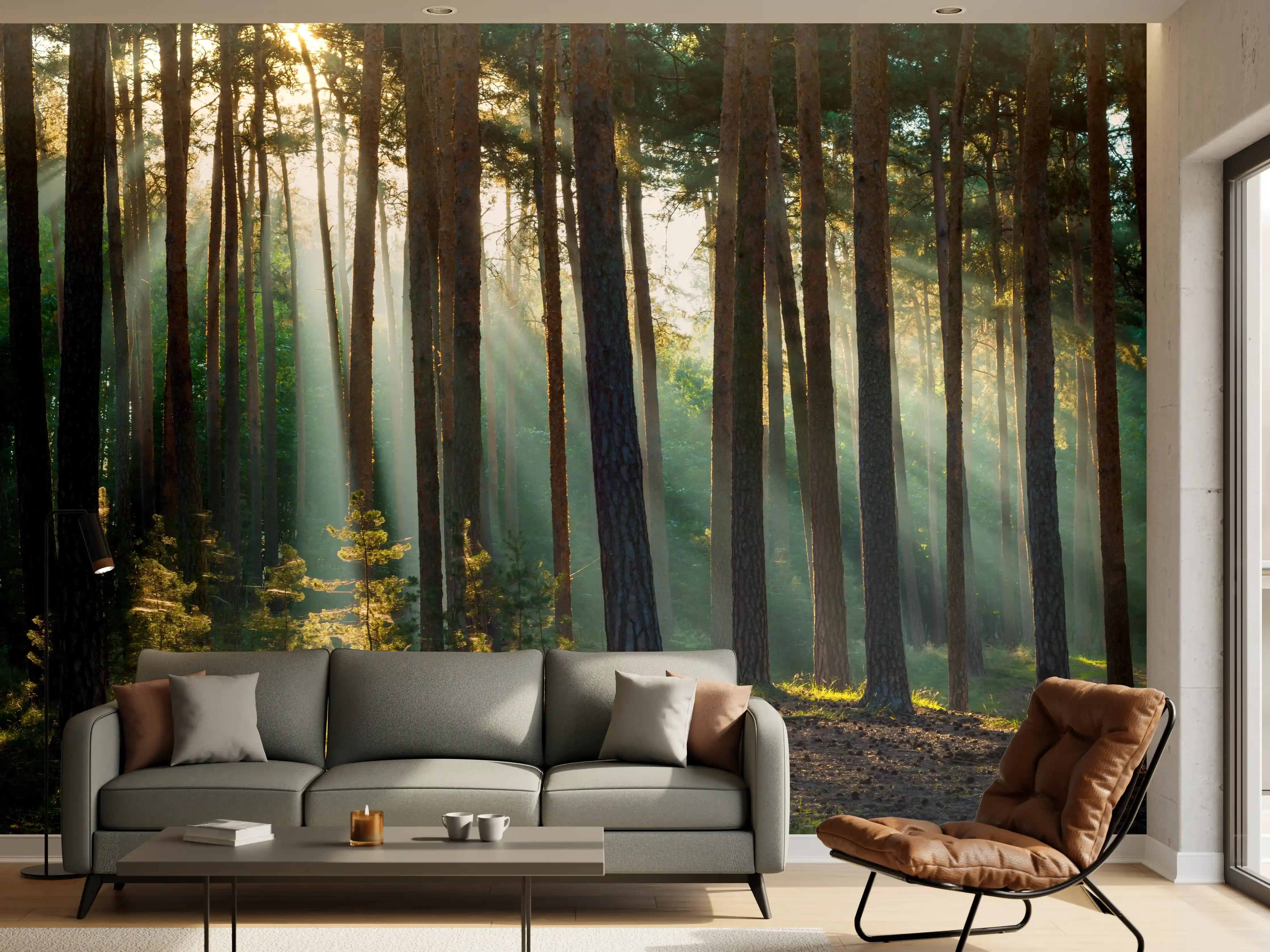 Wandverkleidung Wohnzimmer - Majestätischer Sonnenlichteffekt im Wald
