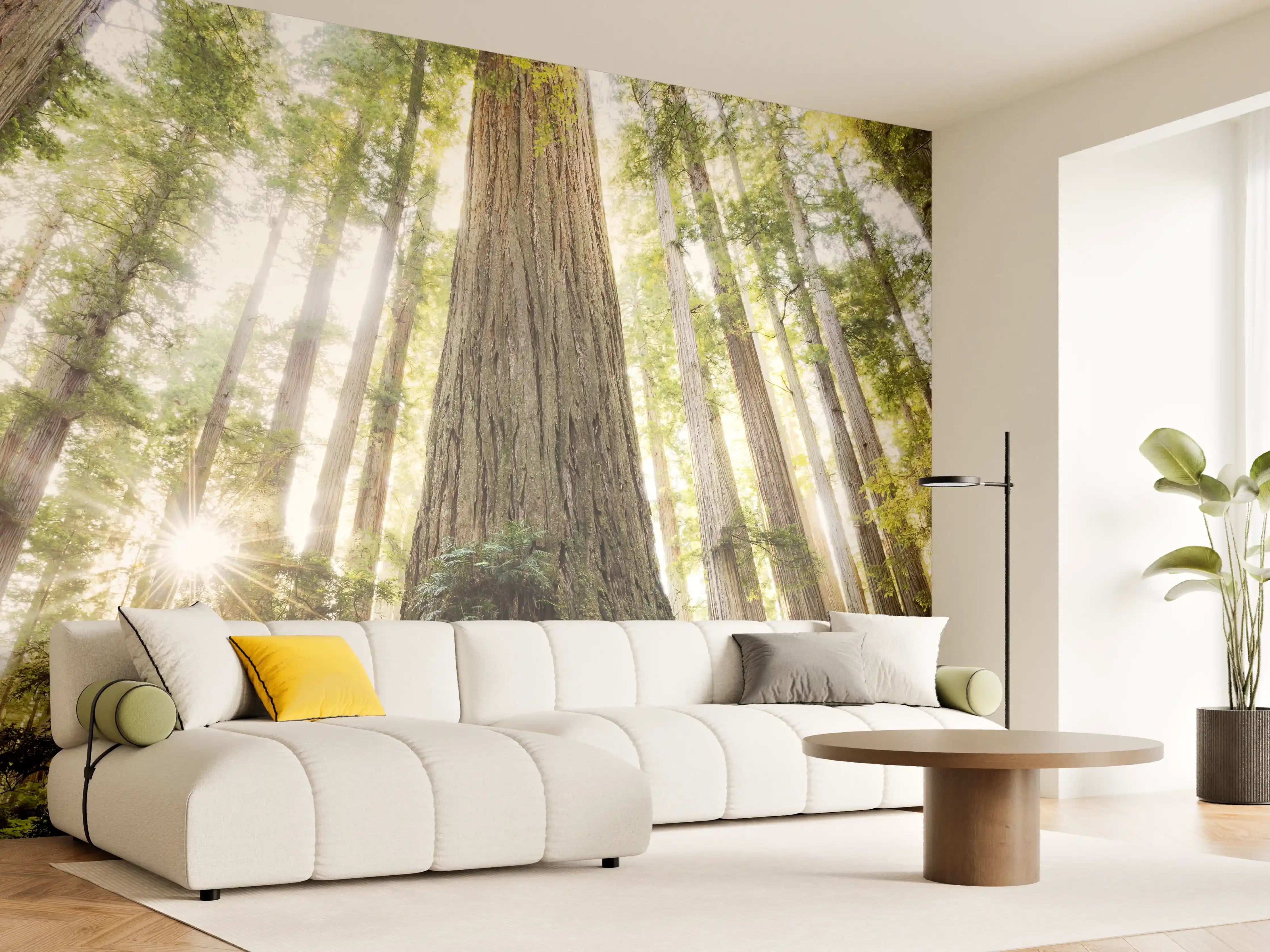 Wandverkleidung Wohnzimmer - Majestätischer Waldbaum im Sonnenlicht