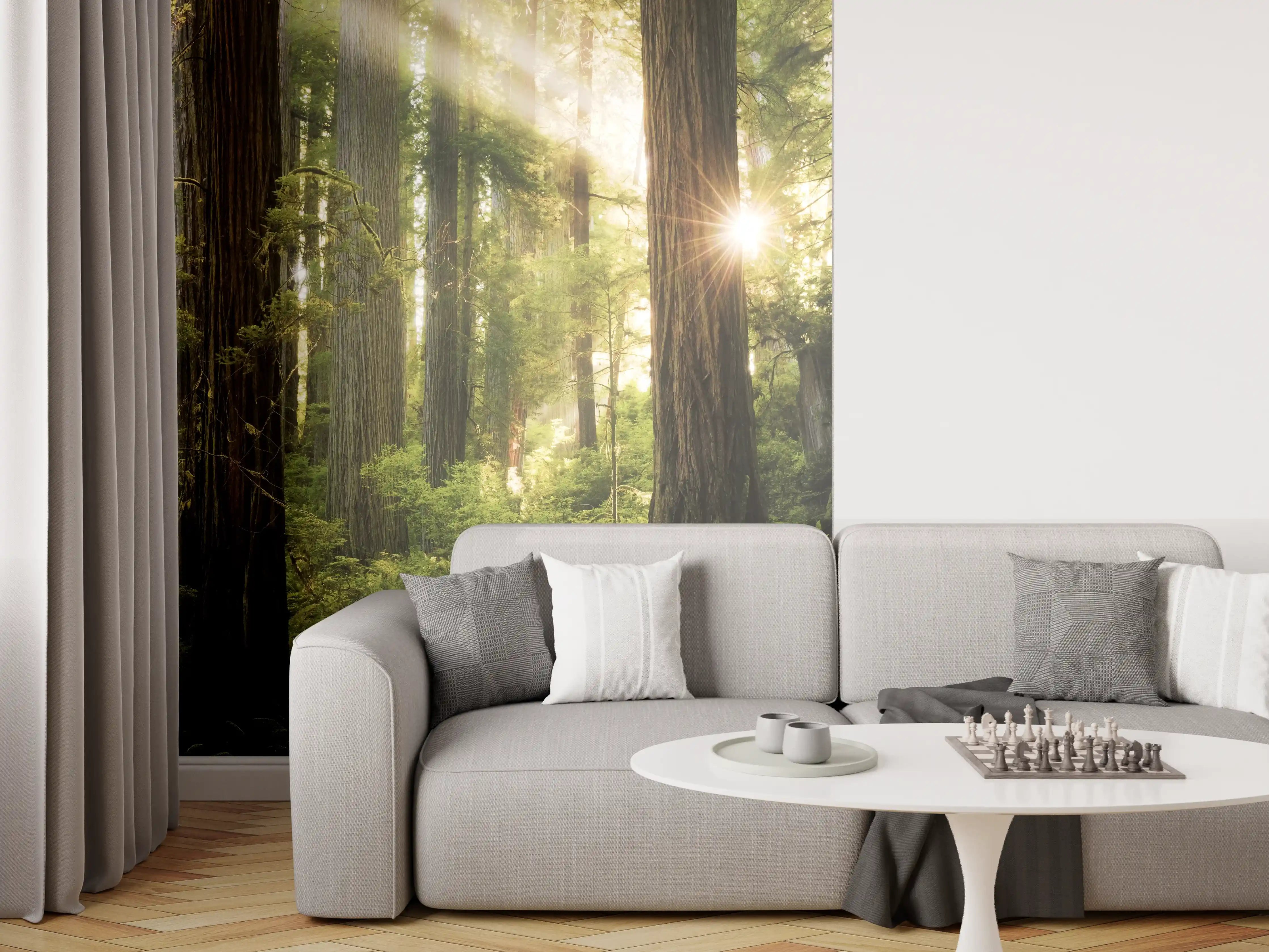 Wandverkleidung Wohnzimmer - Majestätischer Waldboden bei Sonnenlicht