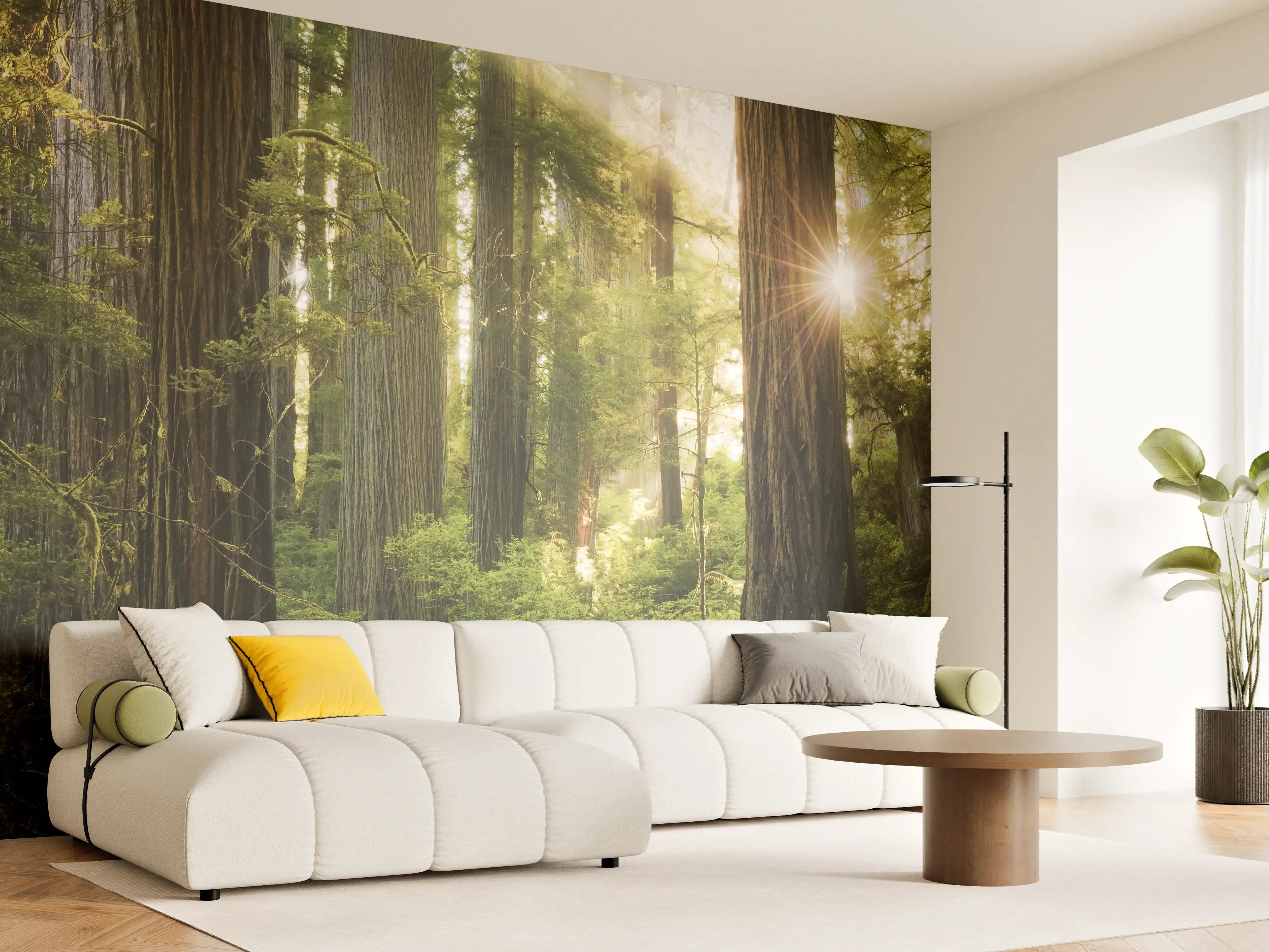 Wandverkleidung Wohnzimmer - Majestätischer Waldboden bei Sonnenlicht