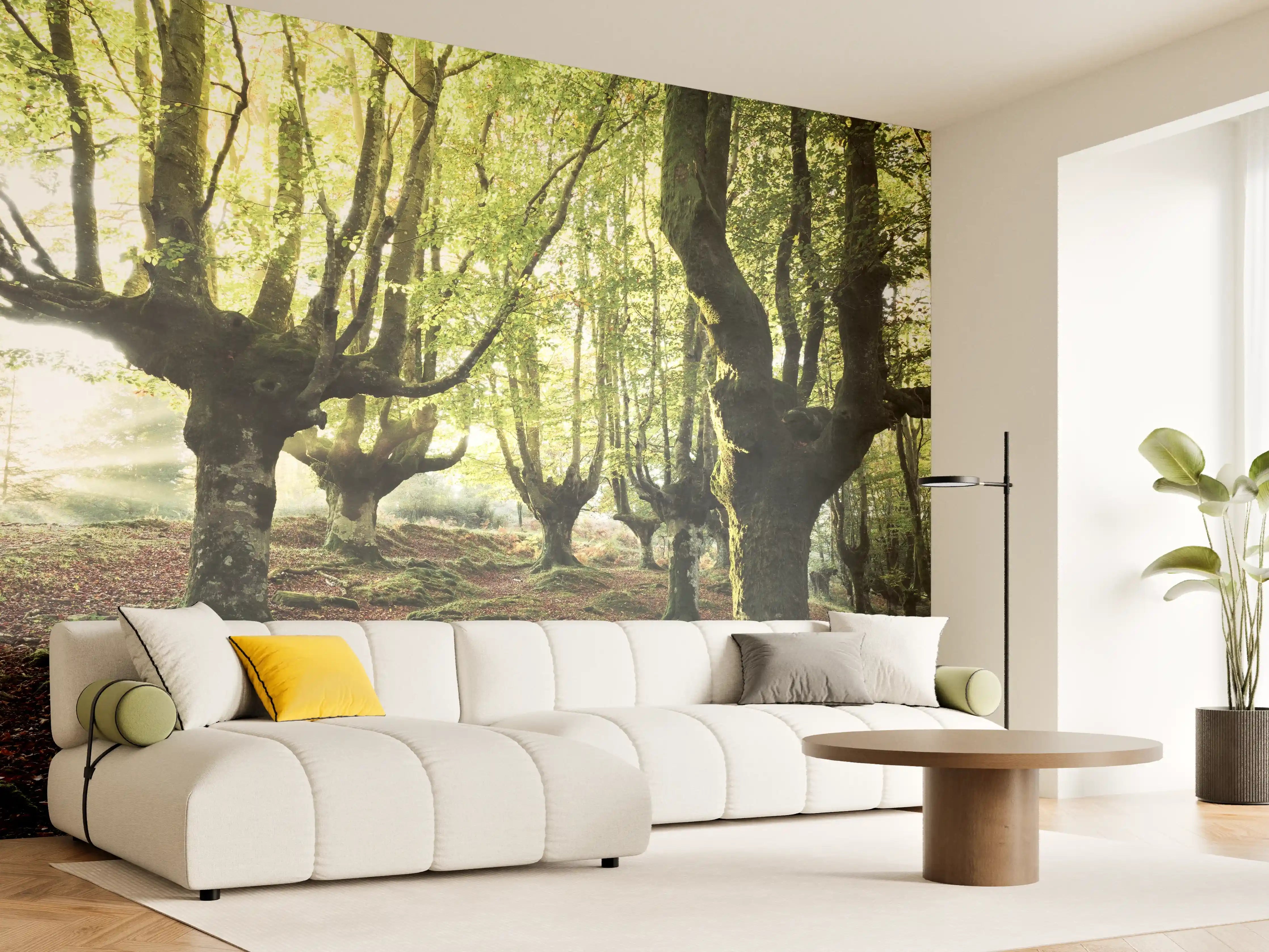 Wandverkleidung Wohnzimmer - Mystische Baumreihe im Grünen