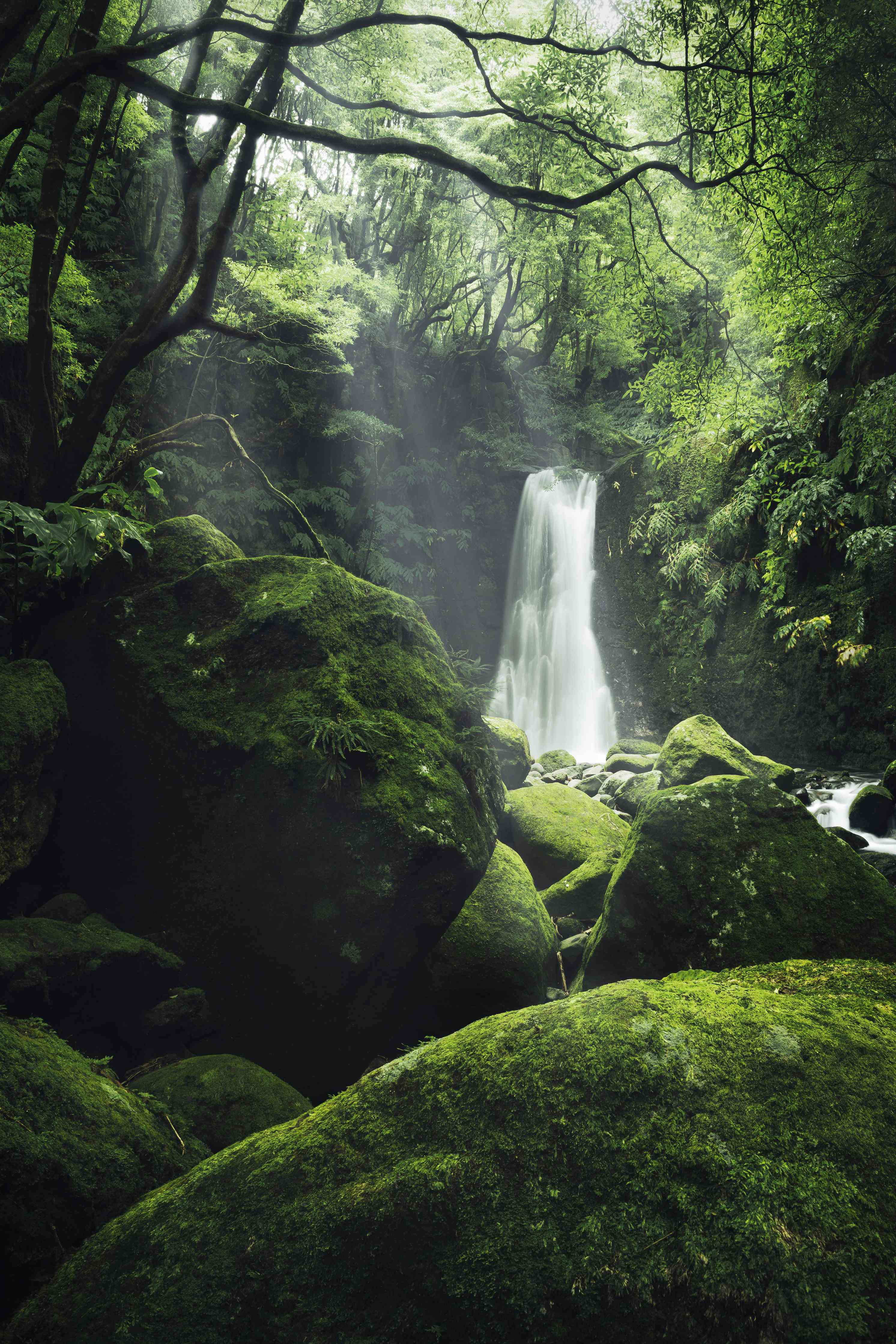 Wandverkleidung Wohnzimmer-Mystische Wasserfall-Landschaft im Grünen