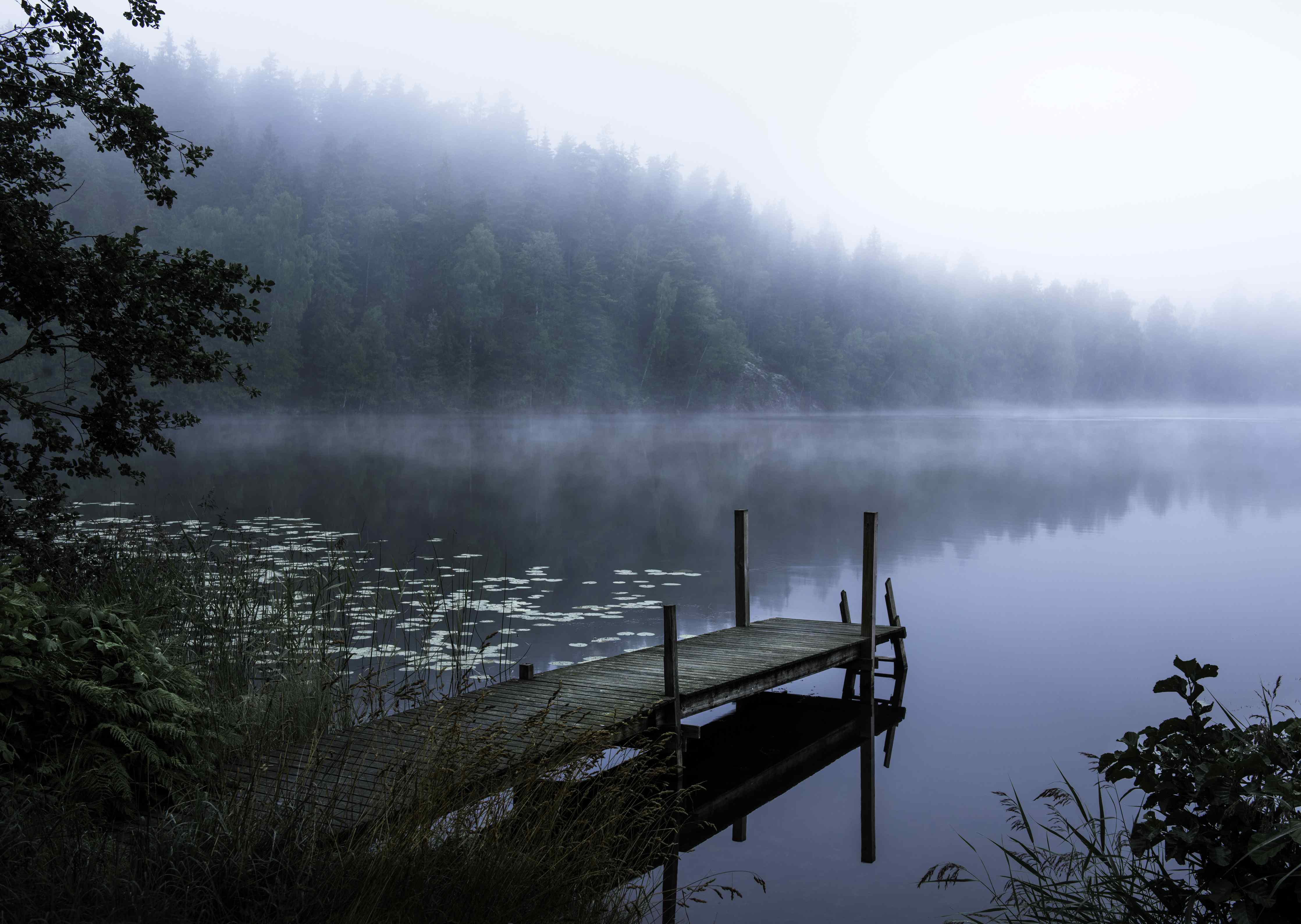 Wandverkleidung Wohnzimmer-Mystischer Nebel am ruhigen See mit Bootsanlegesteg