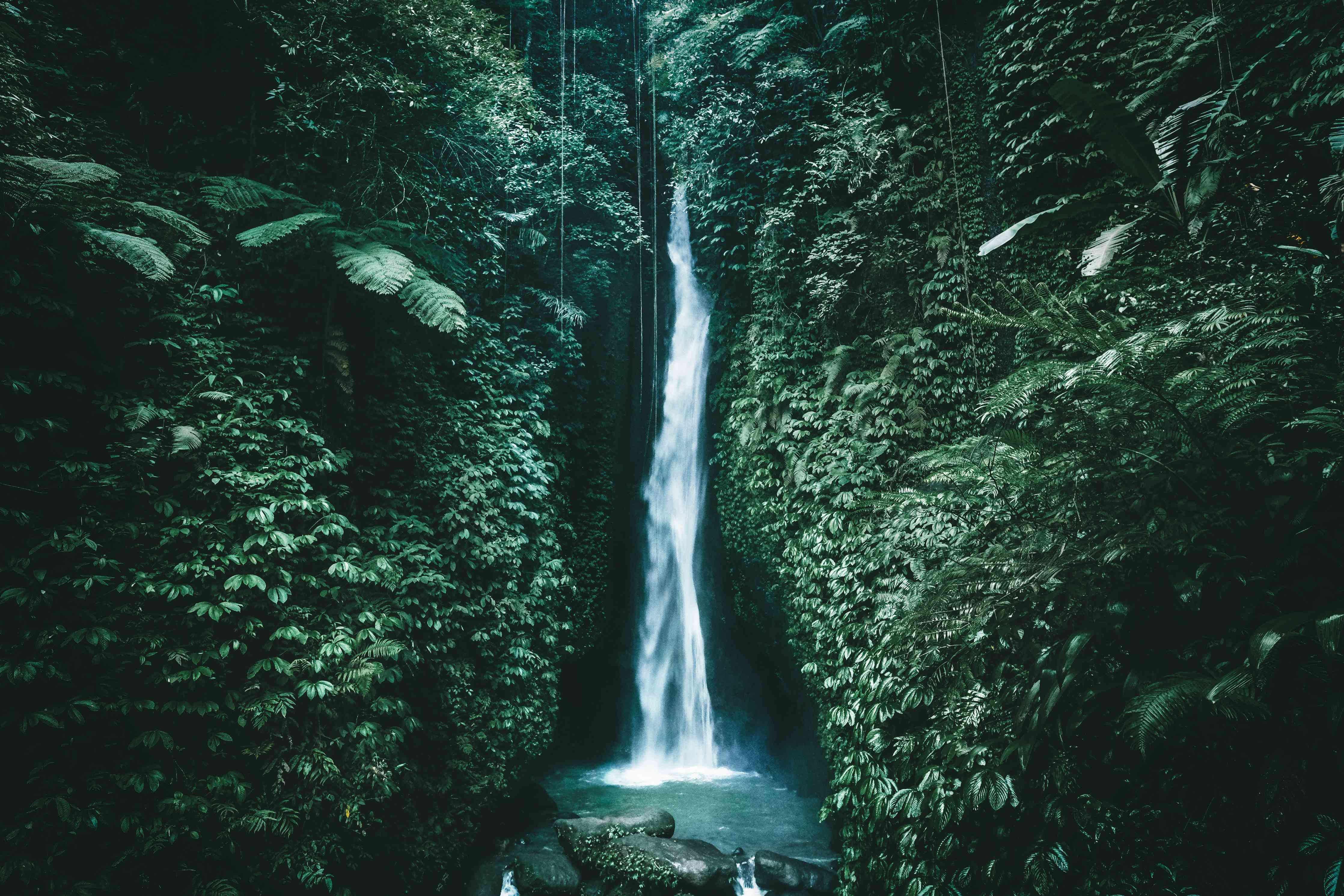 Wandverkleidung Wohnzimmer-Natur Wasserfall Grünwald