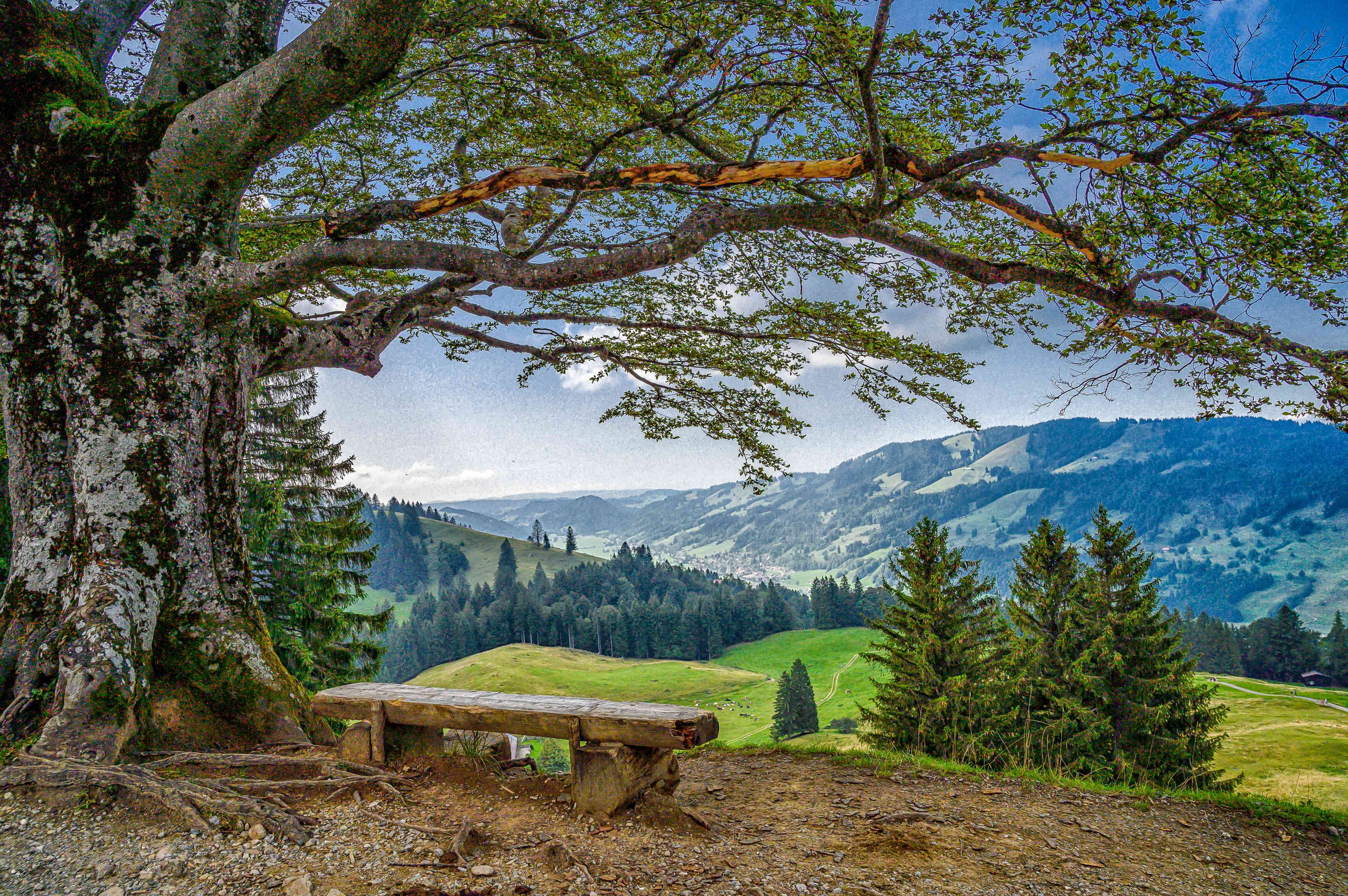 Wandverkleidung Wohnzimmer-Naturkulisse mit Baum und Bergblick