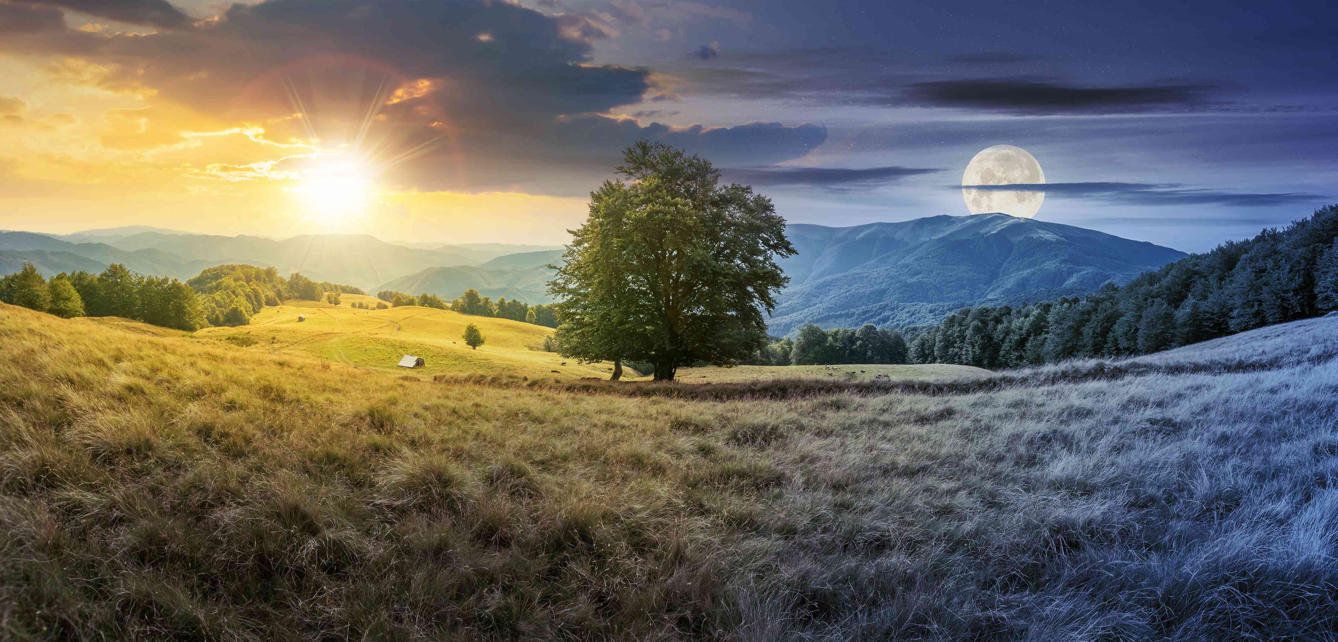 Wandverkleidung Wohnzimmer-Naturpanorama bei Sonnenaufgang und Vollmond