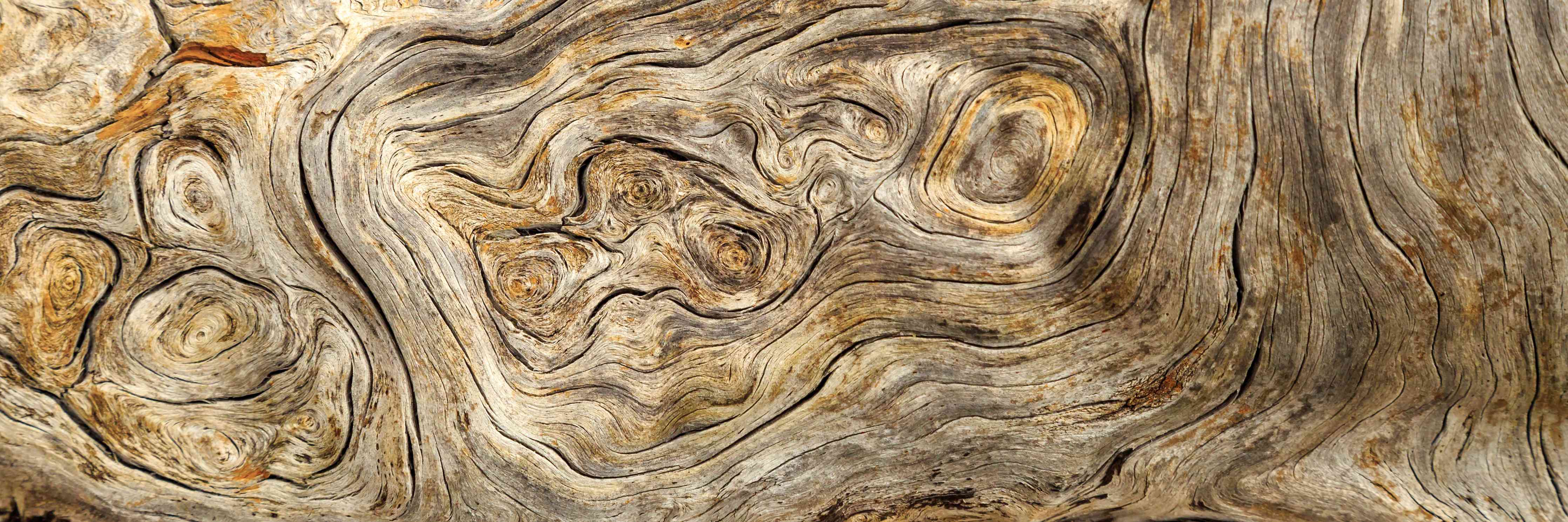 Wandverkleidung Wohnzimmer-Naturstein-Textur in warmen Erdtönen